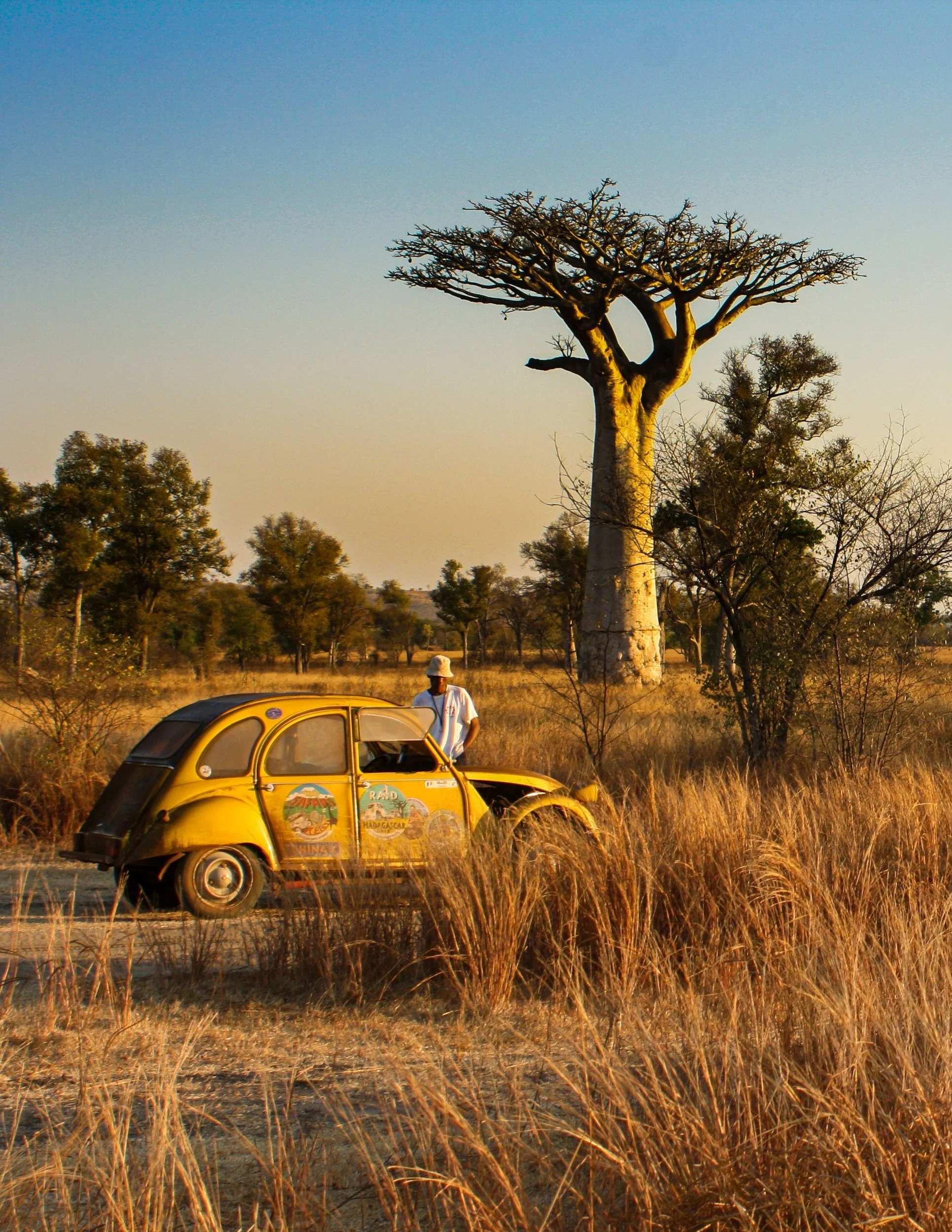 A yellow car with advertising stickers parked in a grassy area near a large baobab tree, with a person standing beside it in a rural landscape.