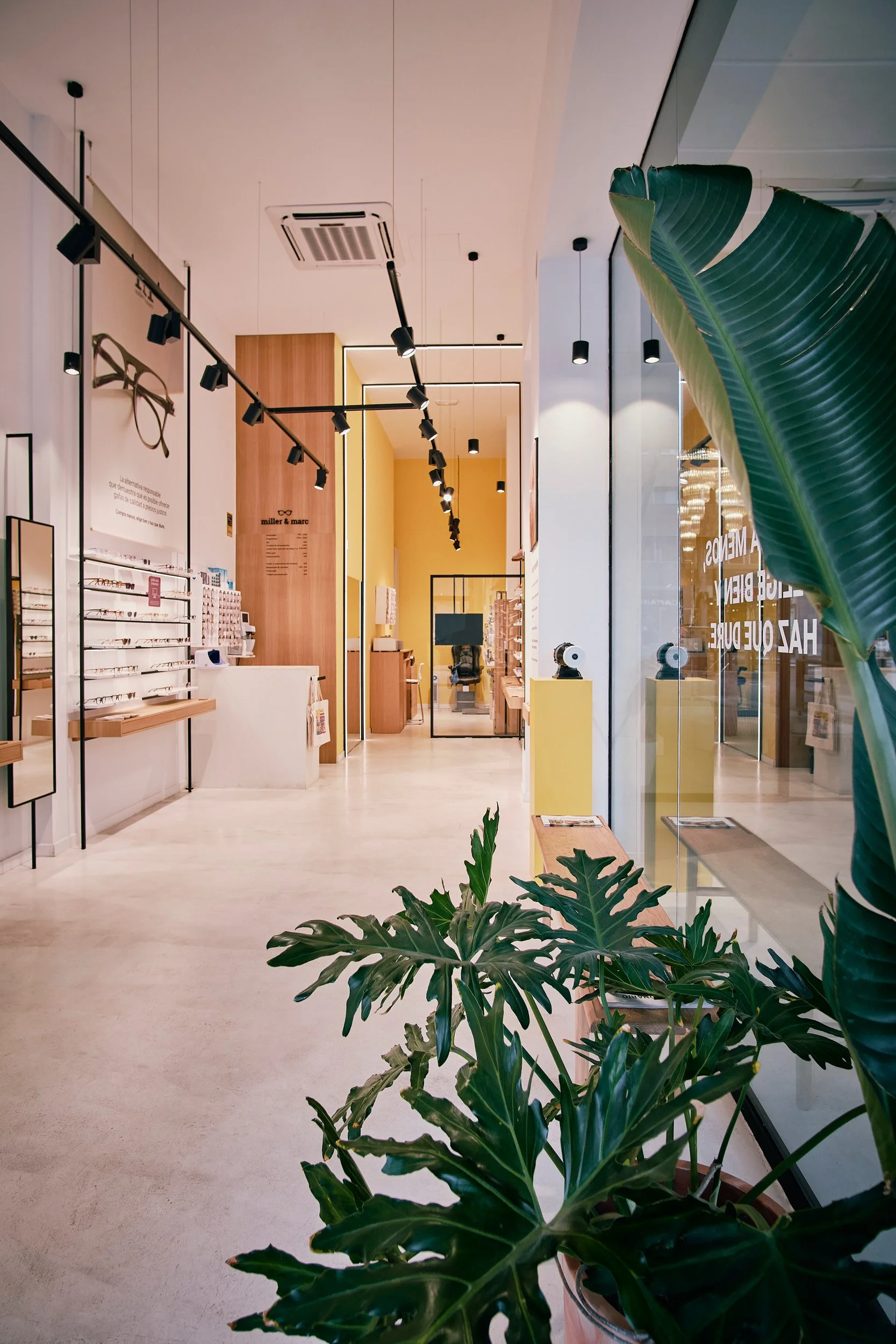 MM TIENDAS - WEB - 11.jpg