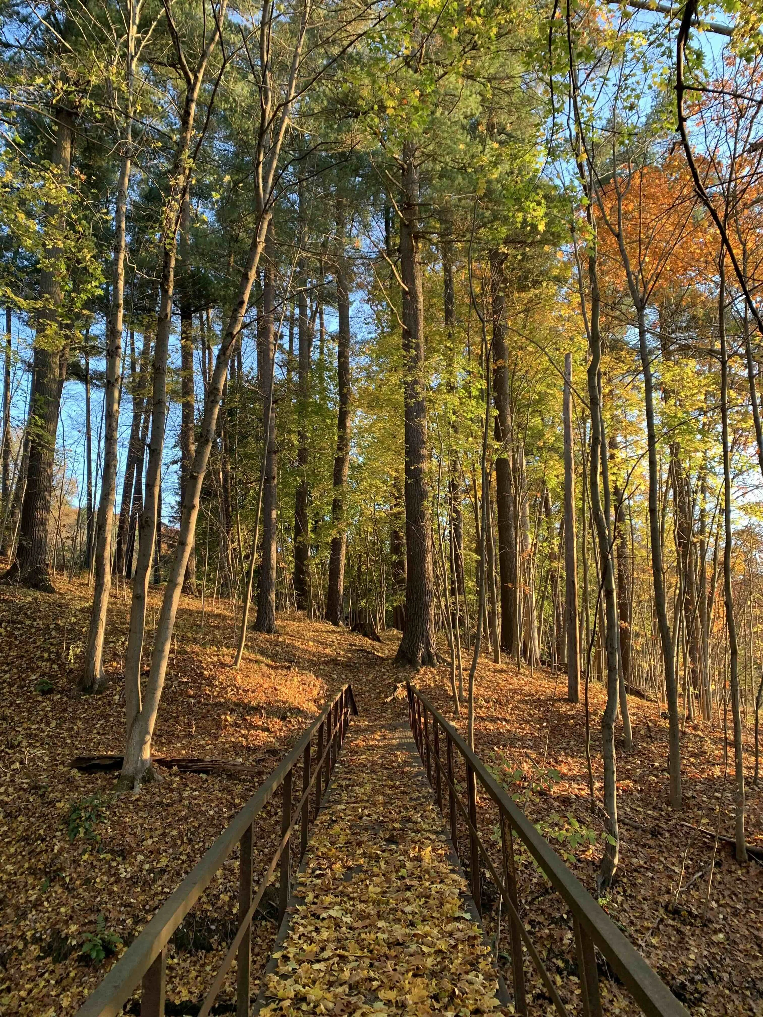 lil bridge autumn.jpg