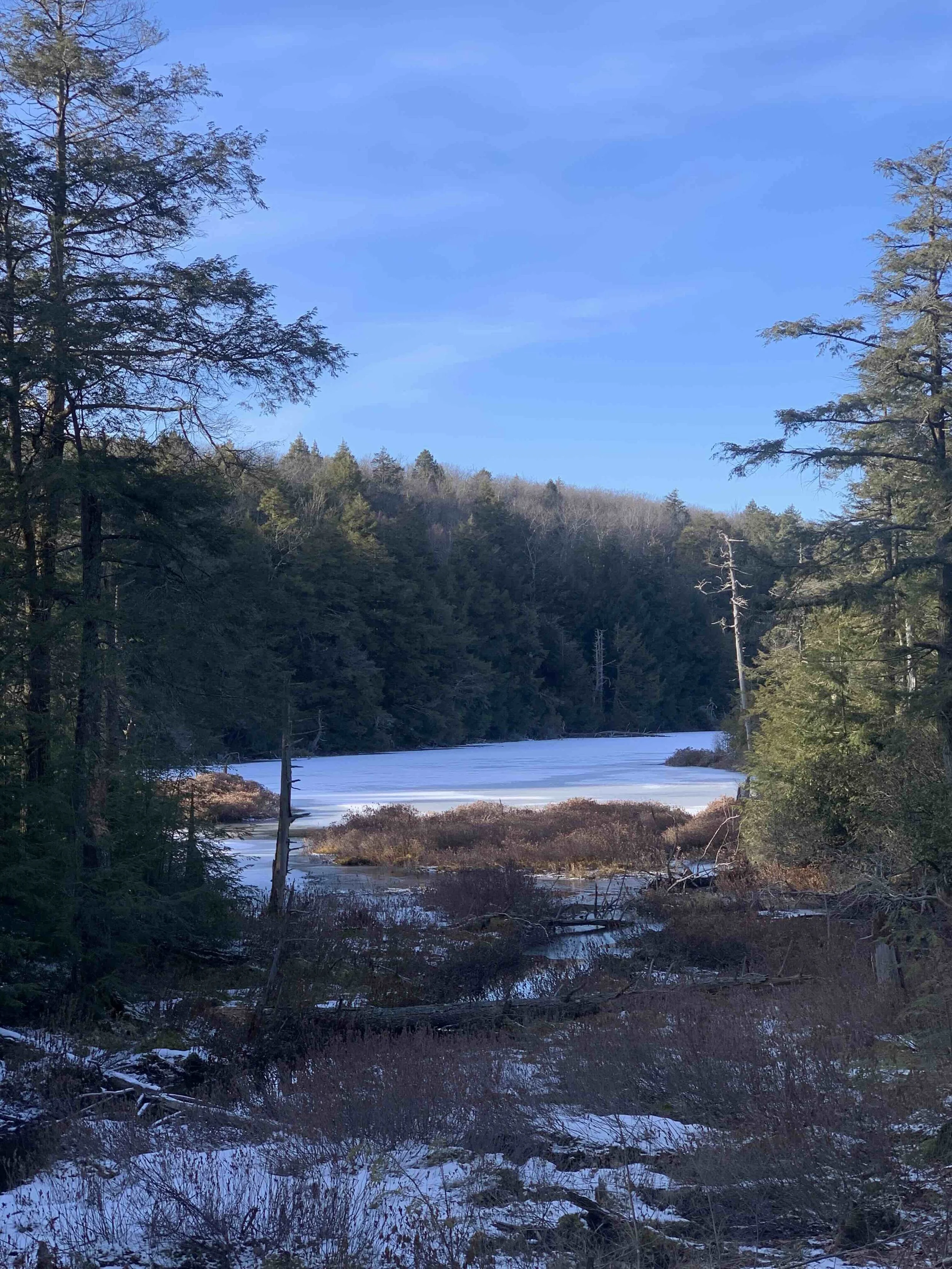guilder pond winter.jpg