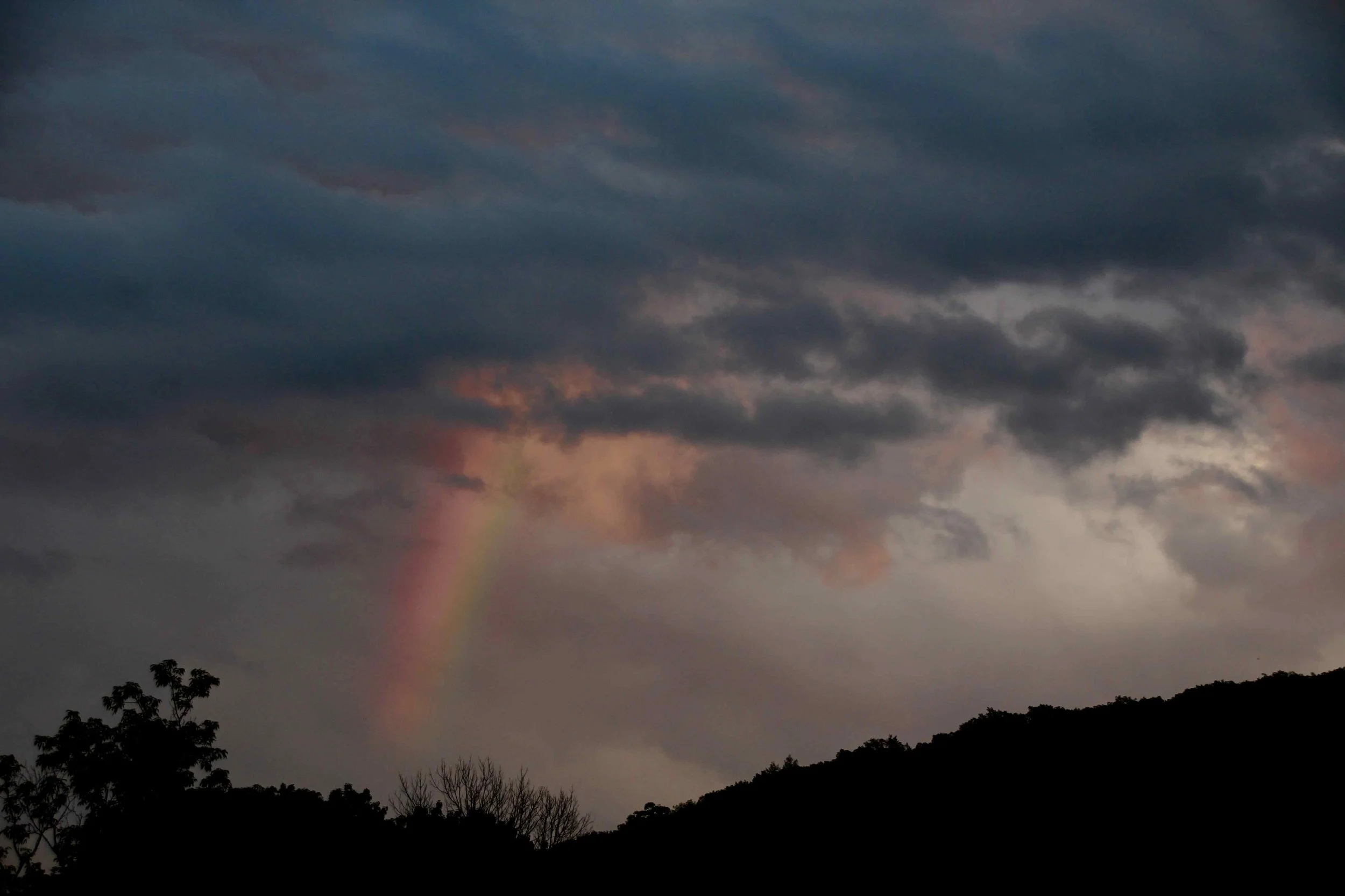 raimbow.jpeg