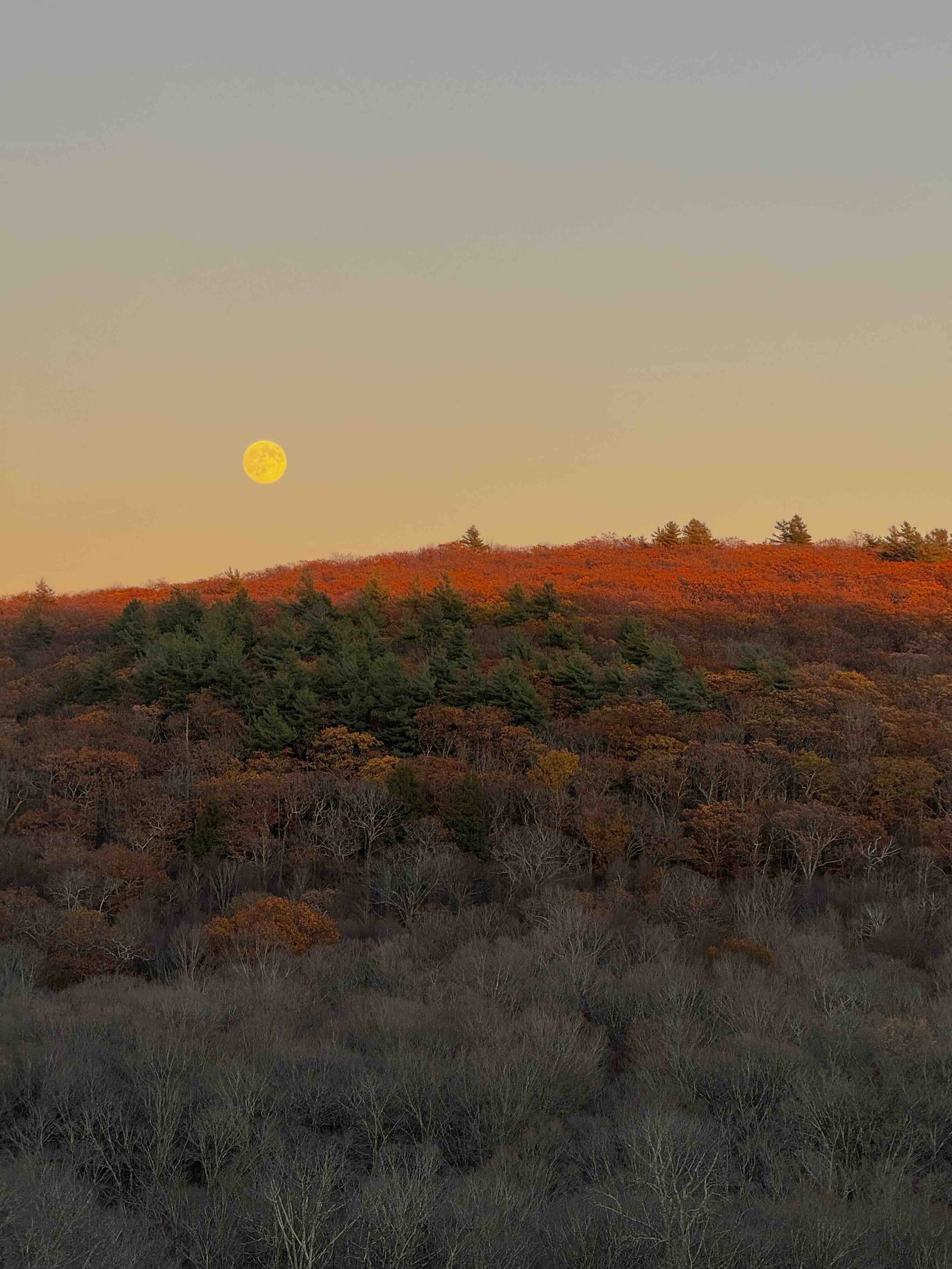 Mount Sterling moonrise.jpg