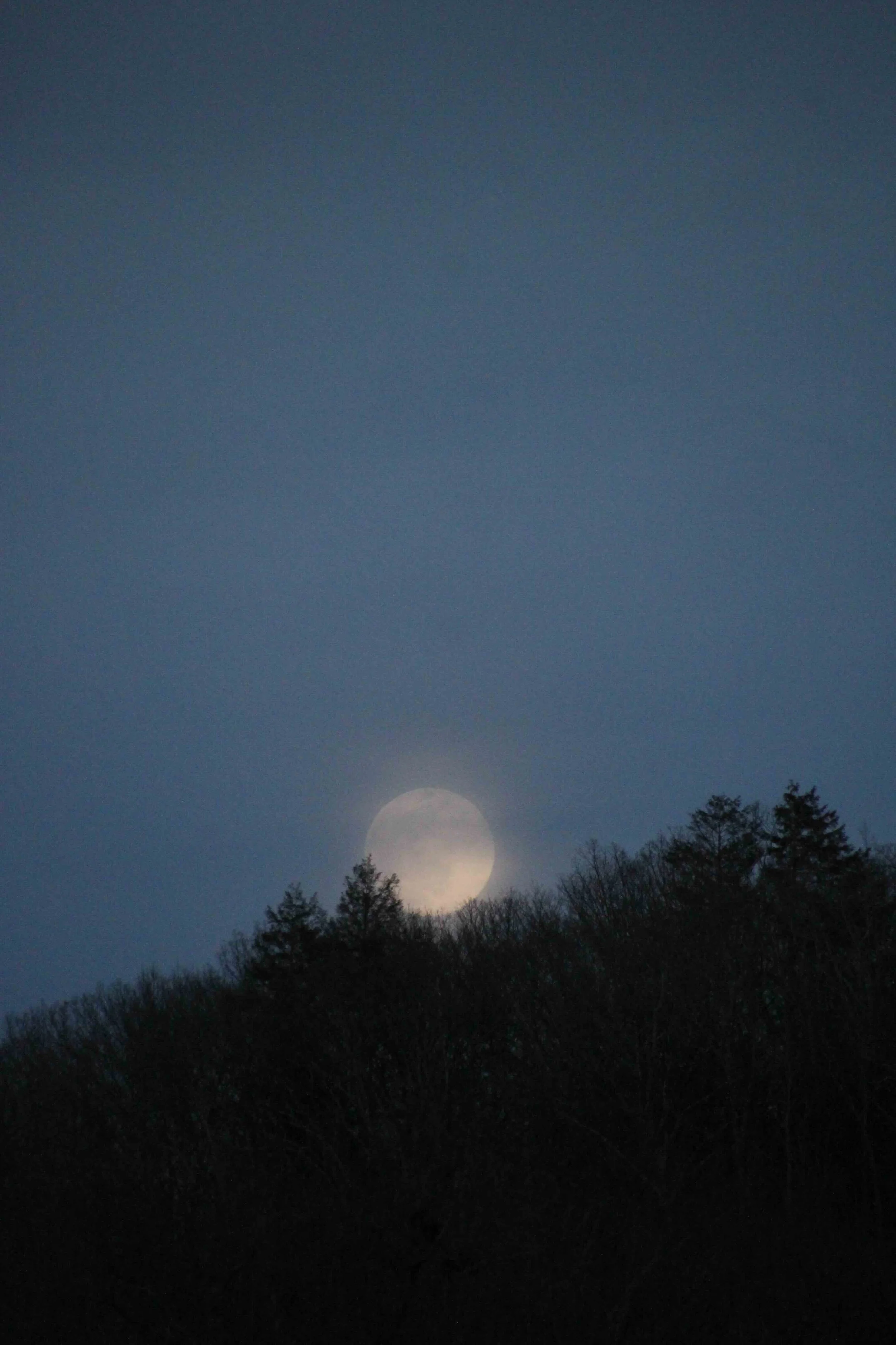 wintermoonrise.jpeg