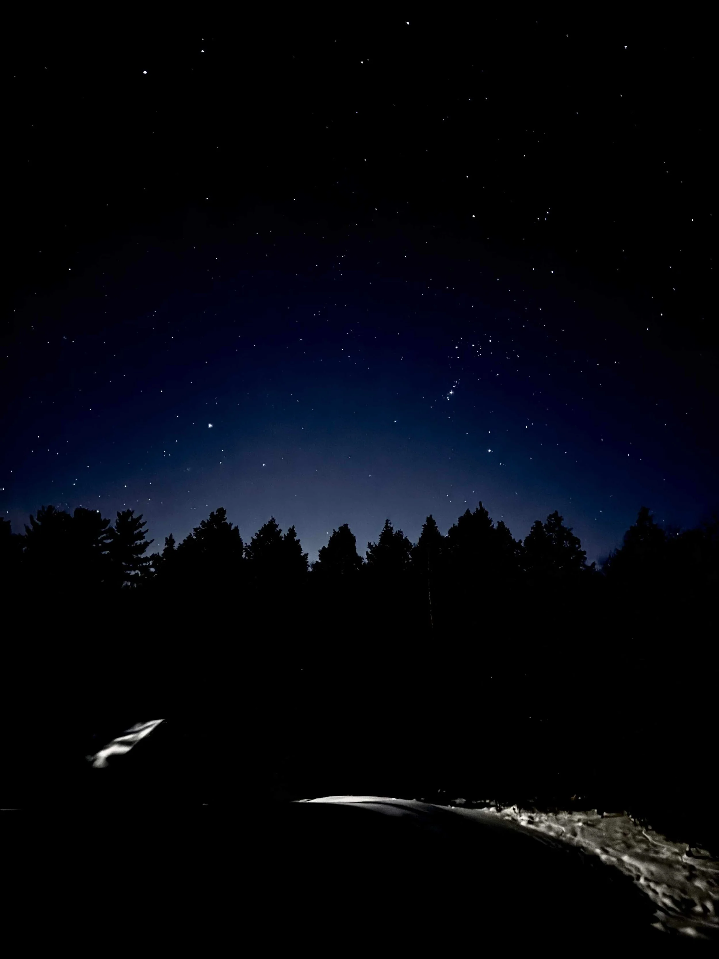 winter stars.jpg