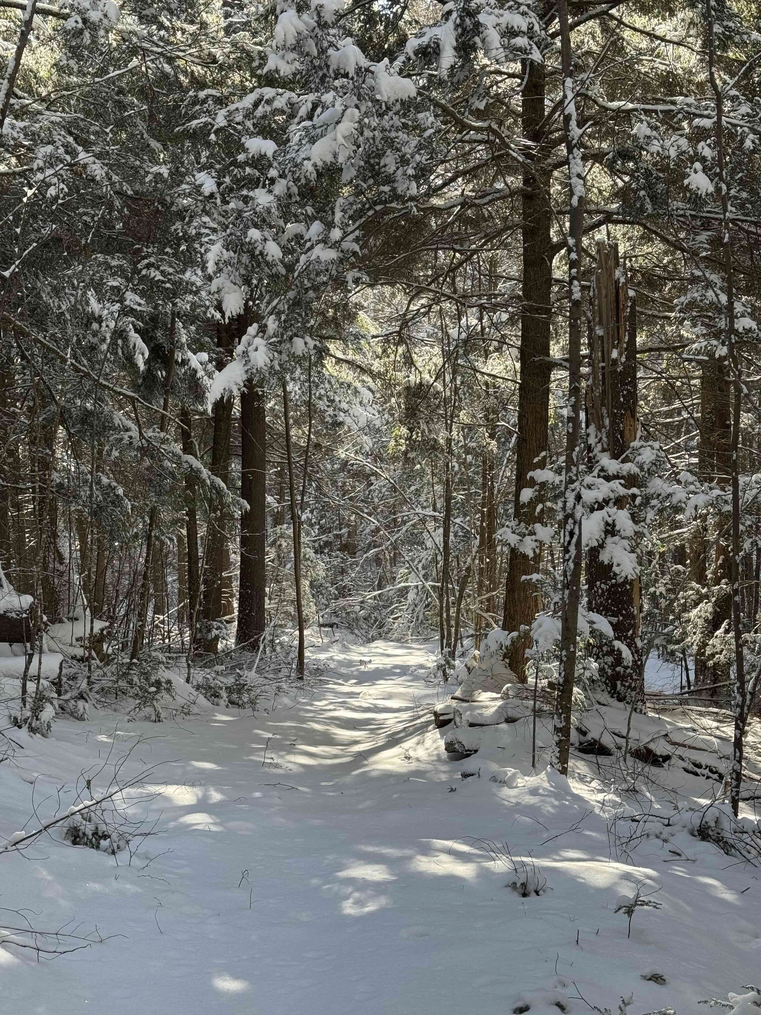 snowy way in Sandisfield.jpg