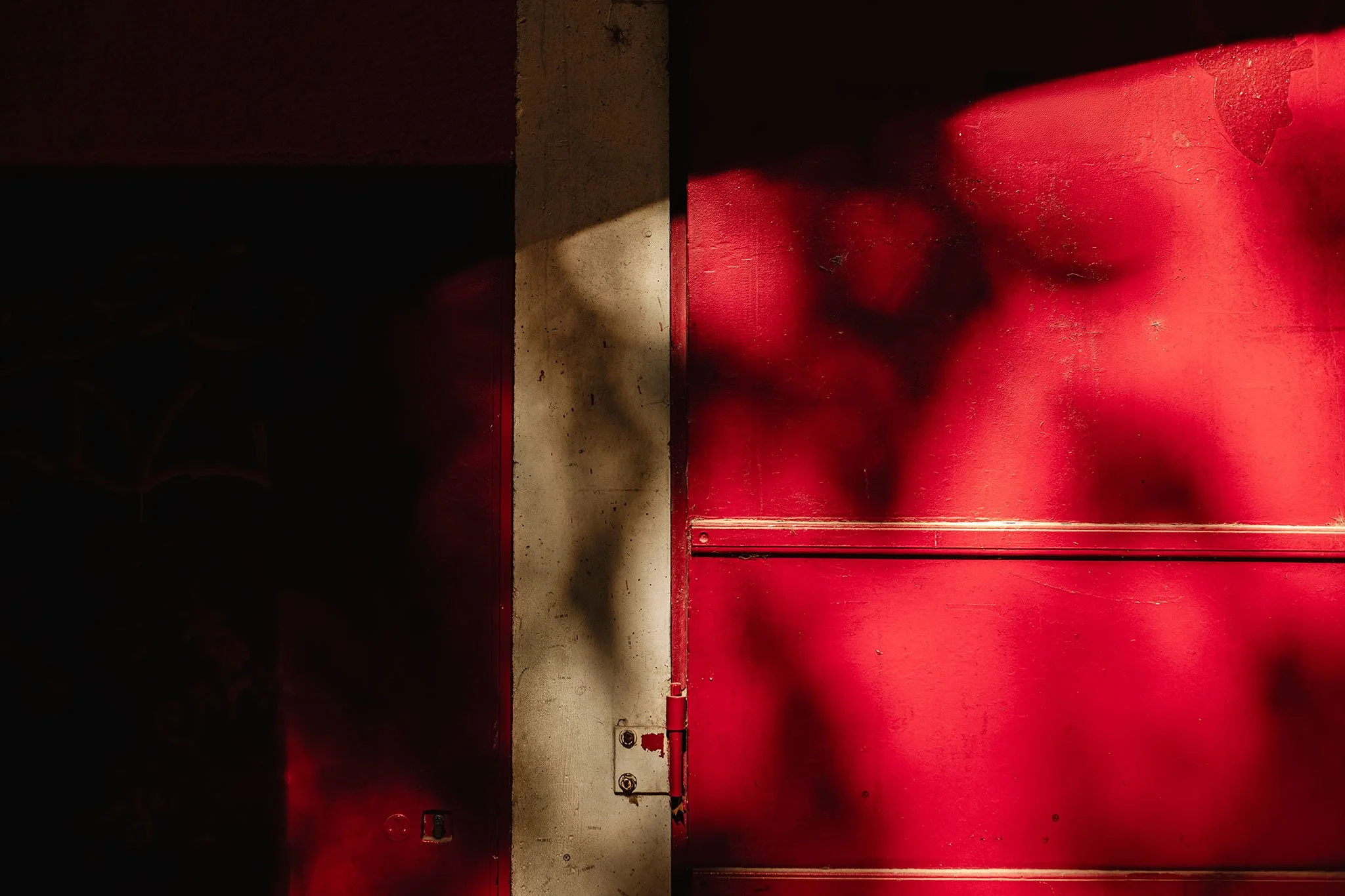 Shadow of a plant cast on a red metal garage door with a concrete wall in between.