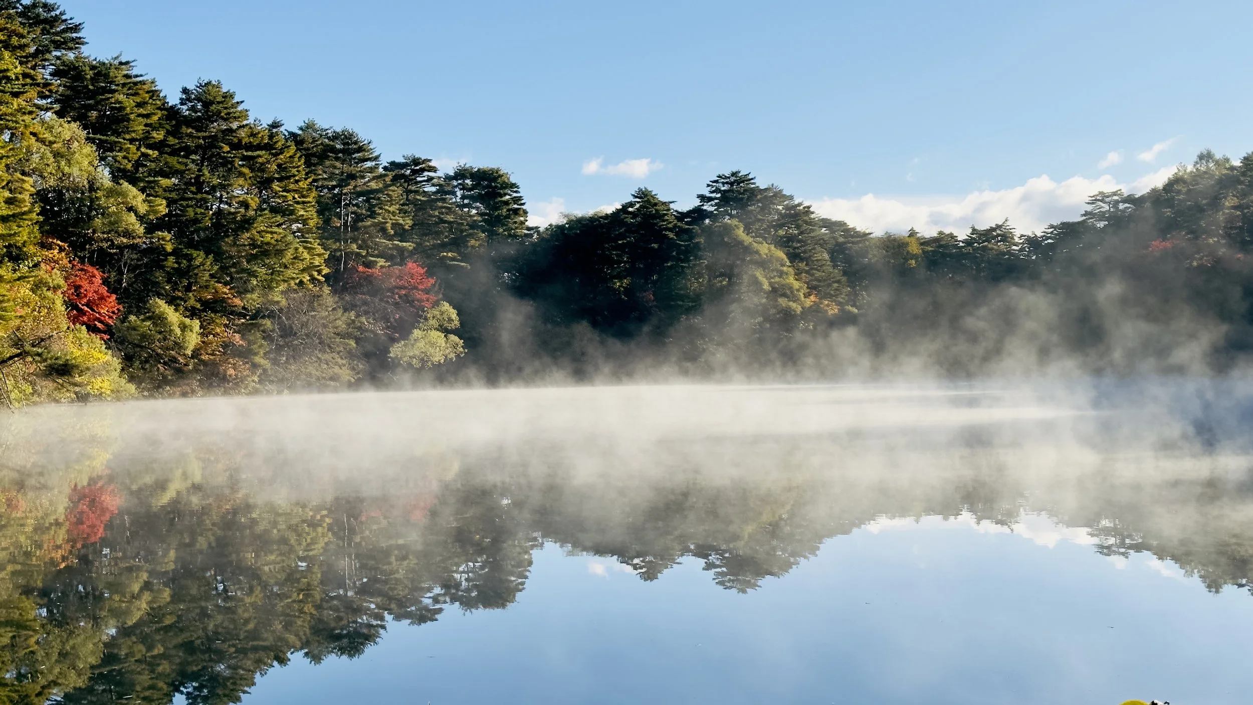 goshikinuma-lake-fukushima-reflection-sourcing-story.jpg