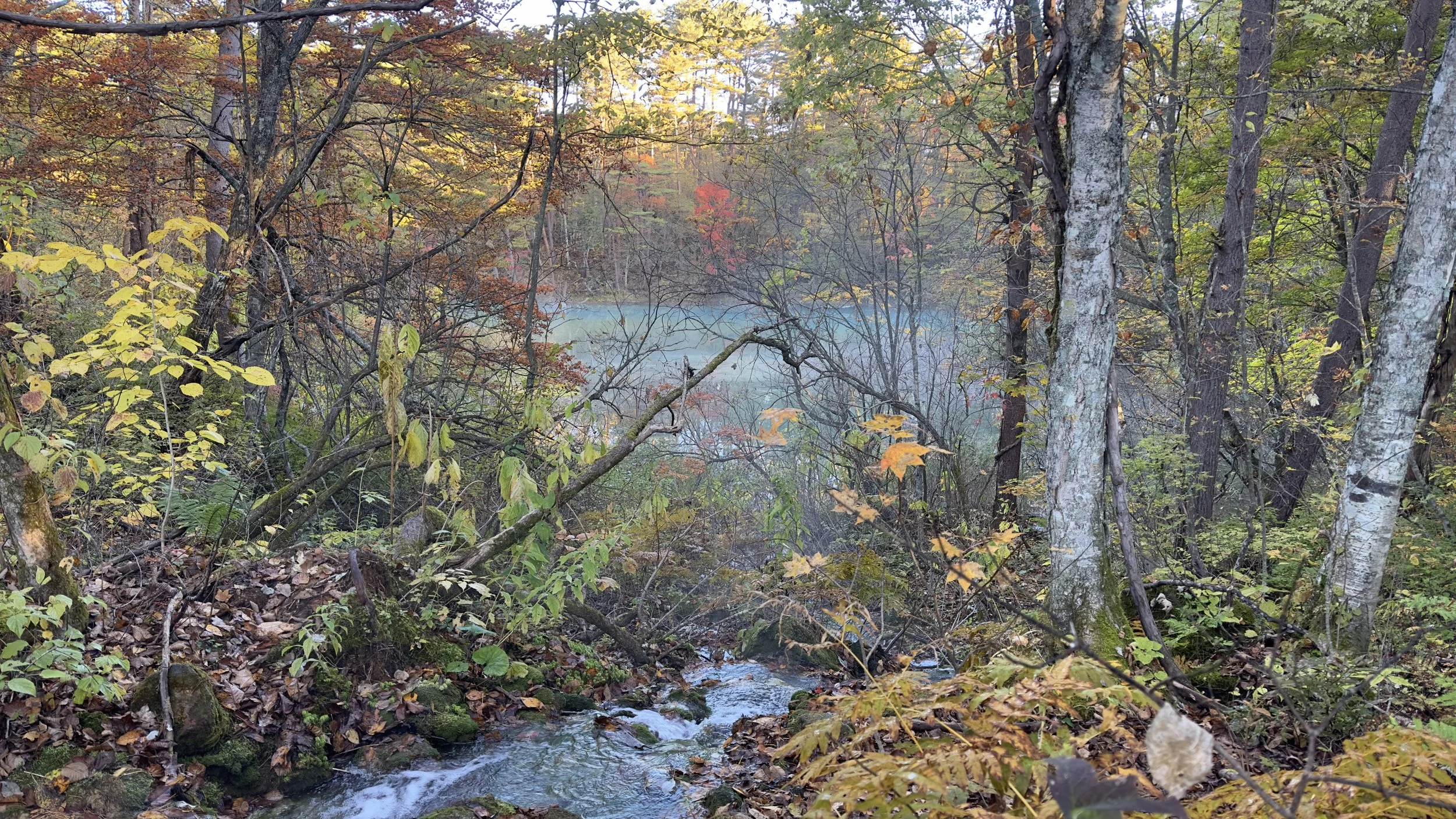 fukushima-hiking-trail-autumn-foliage-japan.jpg