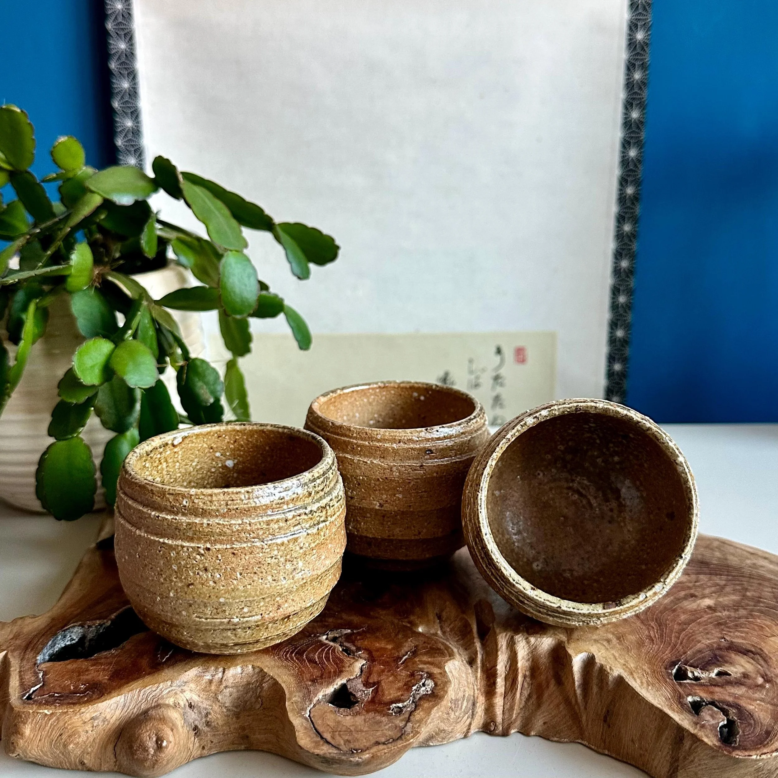 Two Shigaraki-yaki cups upright, one tilted on its side showing glazed interior