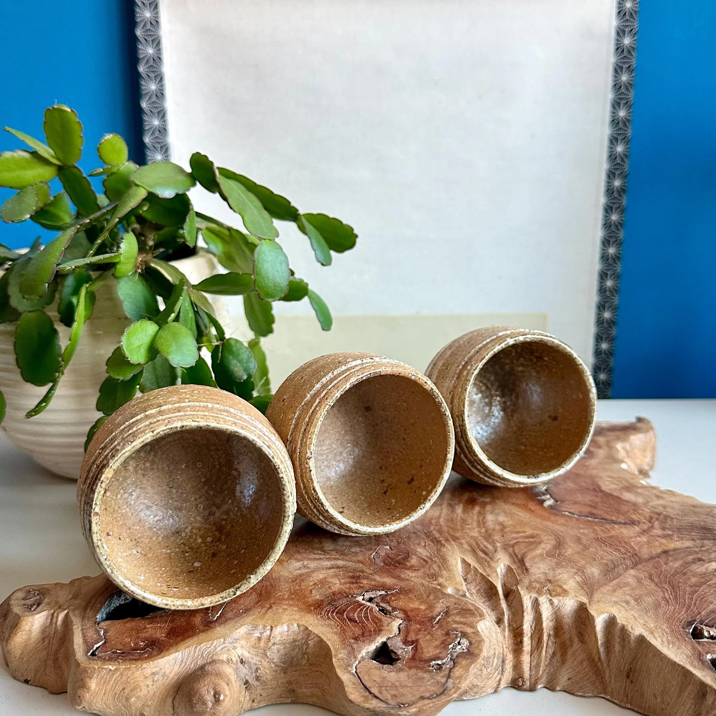 Three Shigaraki-yaki cups on their side showing depth and rim thickness