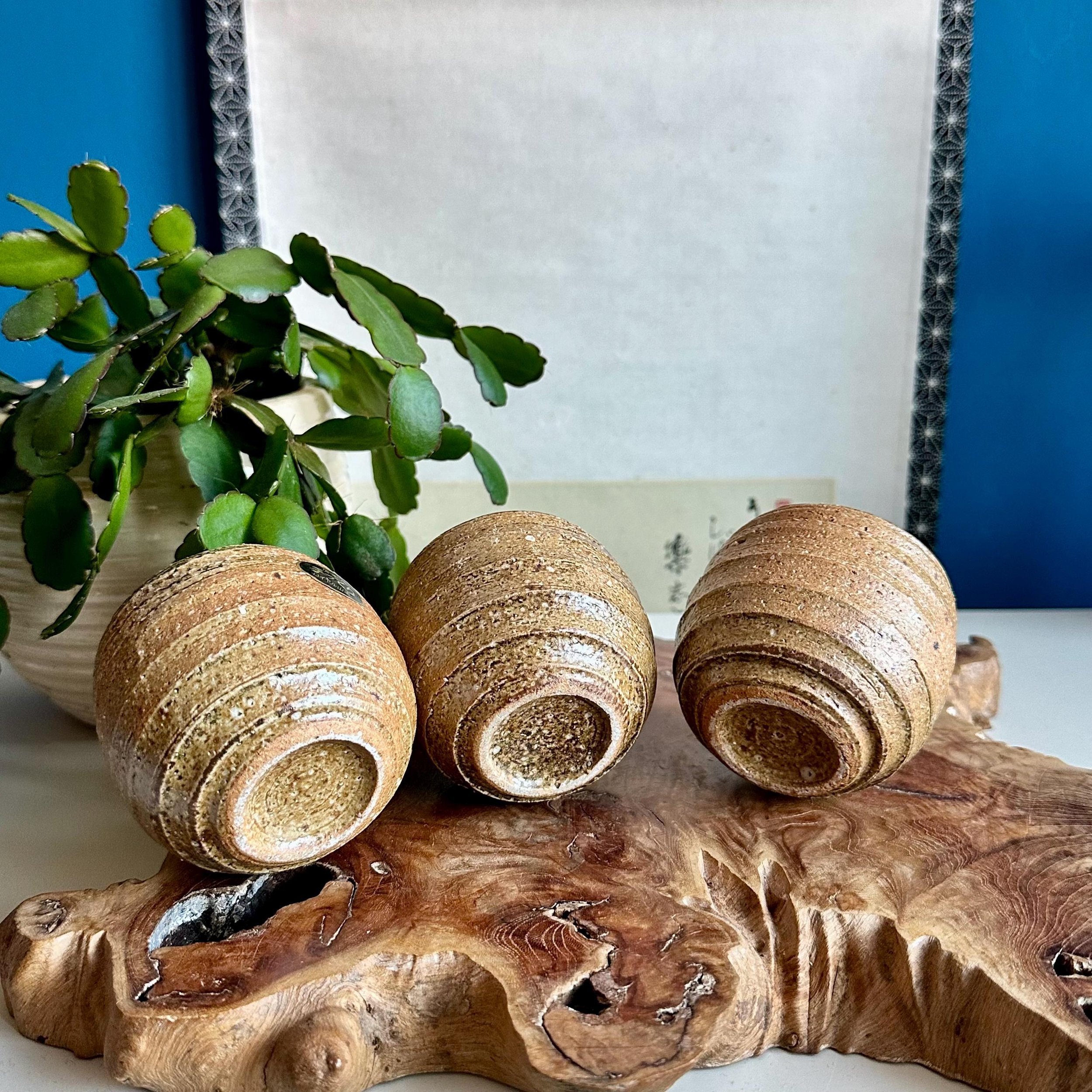 Three Shigaraki-yaki cups from on their side showing the below on burl wood stand