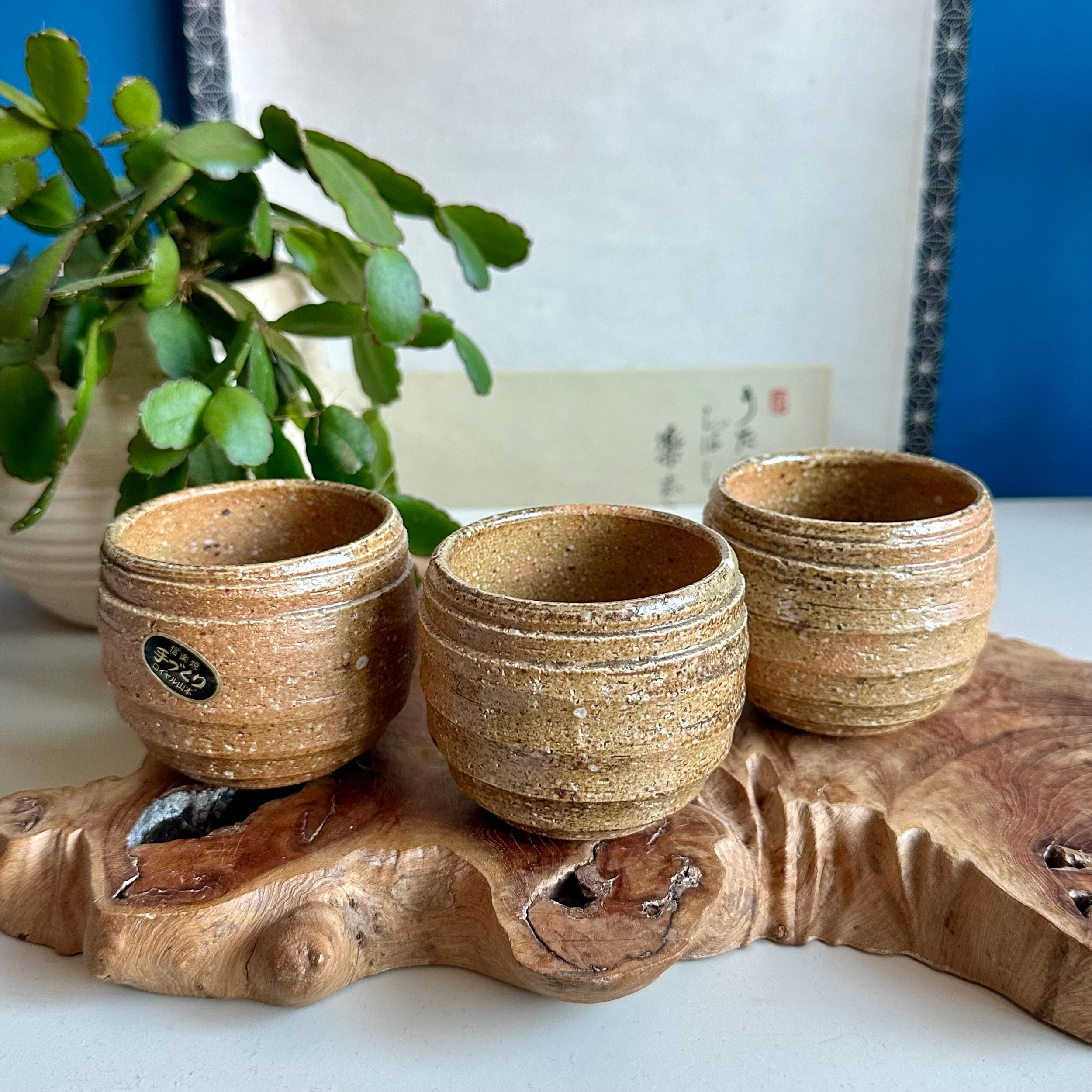 Three Shigaraki-yaki cups with ridged spiral texture, on driftwood