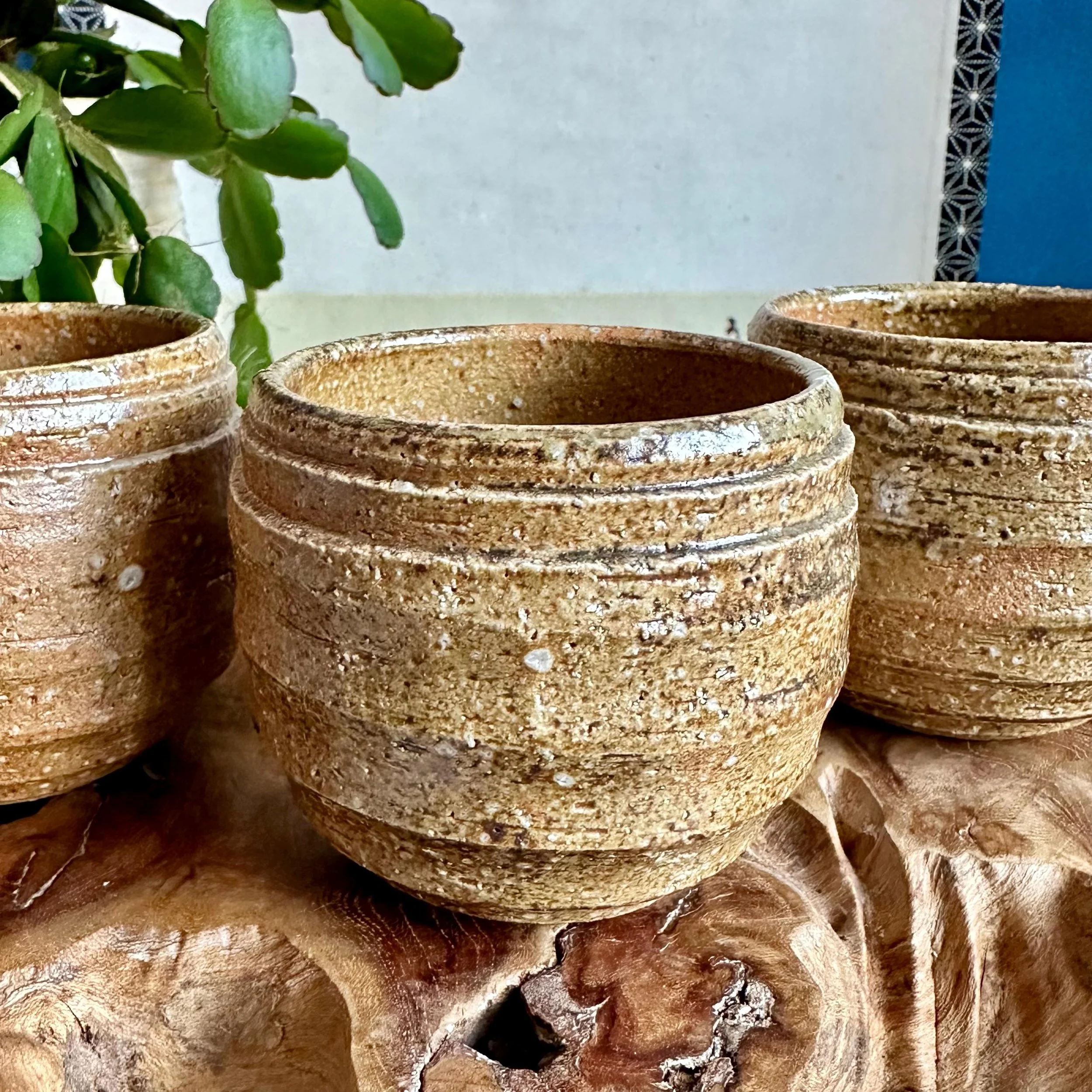 Three Shigaraki-yaki cups grouped closely, ridged texture, interiors angled