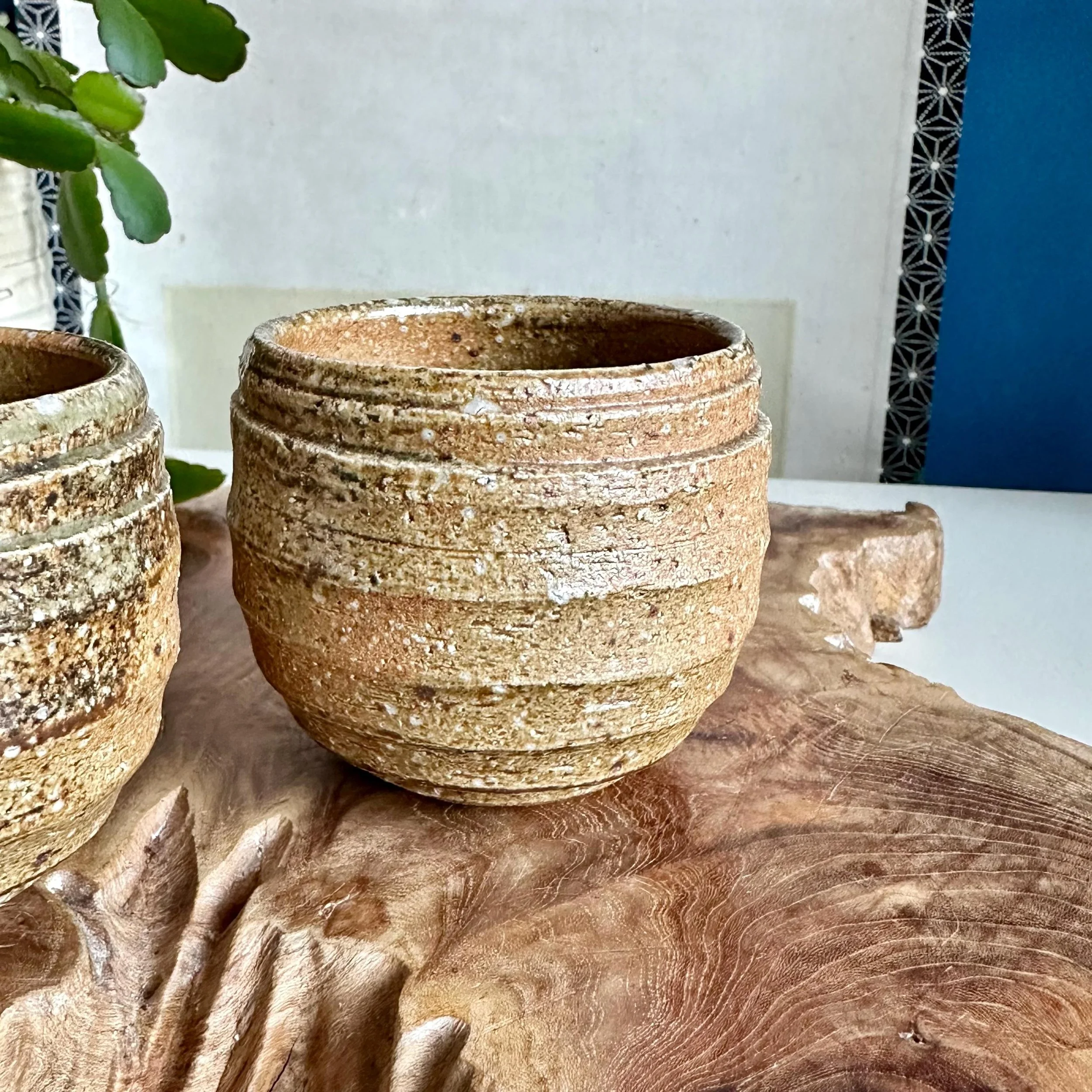 Single Shigaraki-yaki cup, close up of ridged spiral exterior texture
