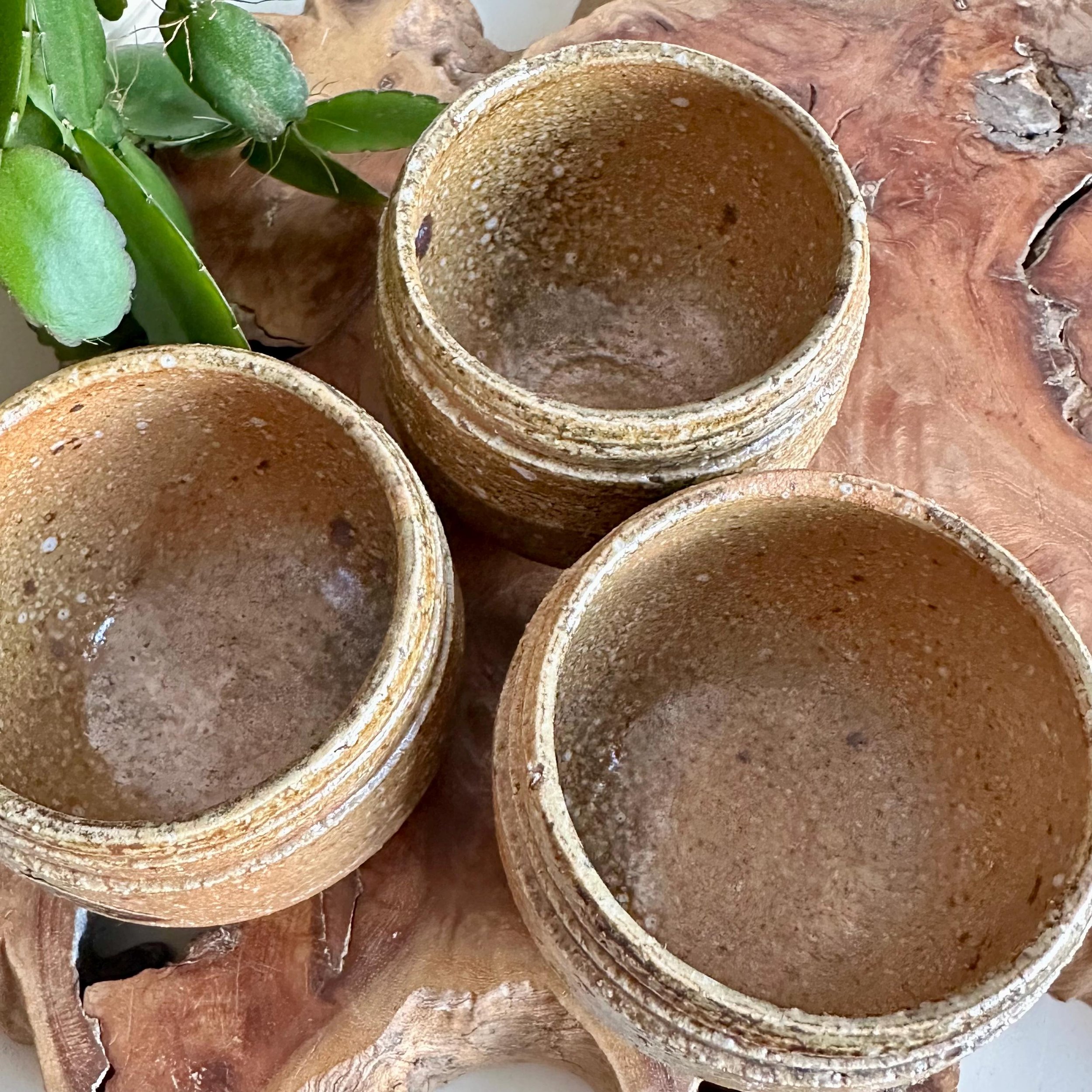 Three Shigaraki-yaki cups from above, showing depth and rim thickness