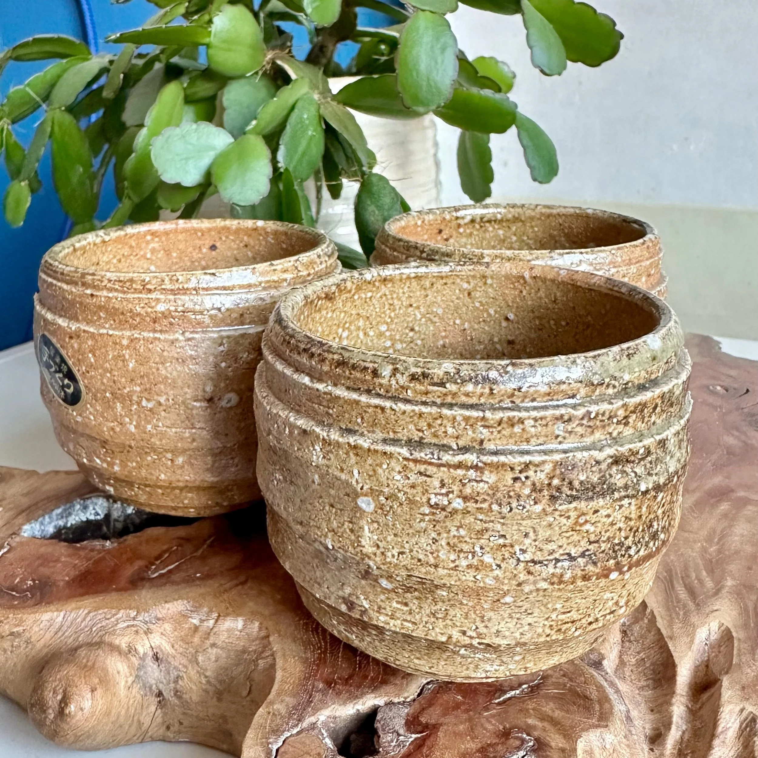 Three Shigaraki-yaki cups grouped, studio sticker visible on front cup
