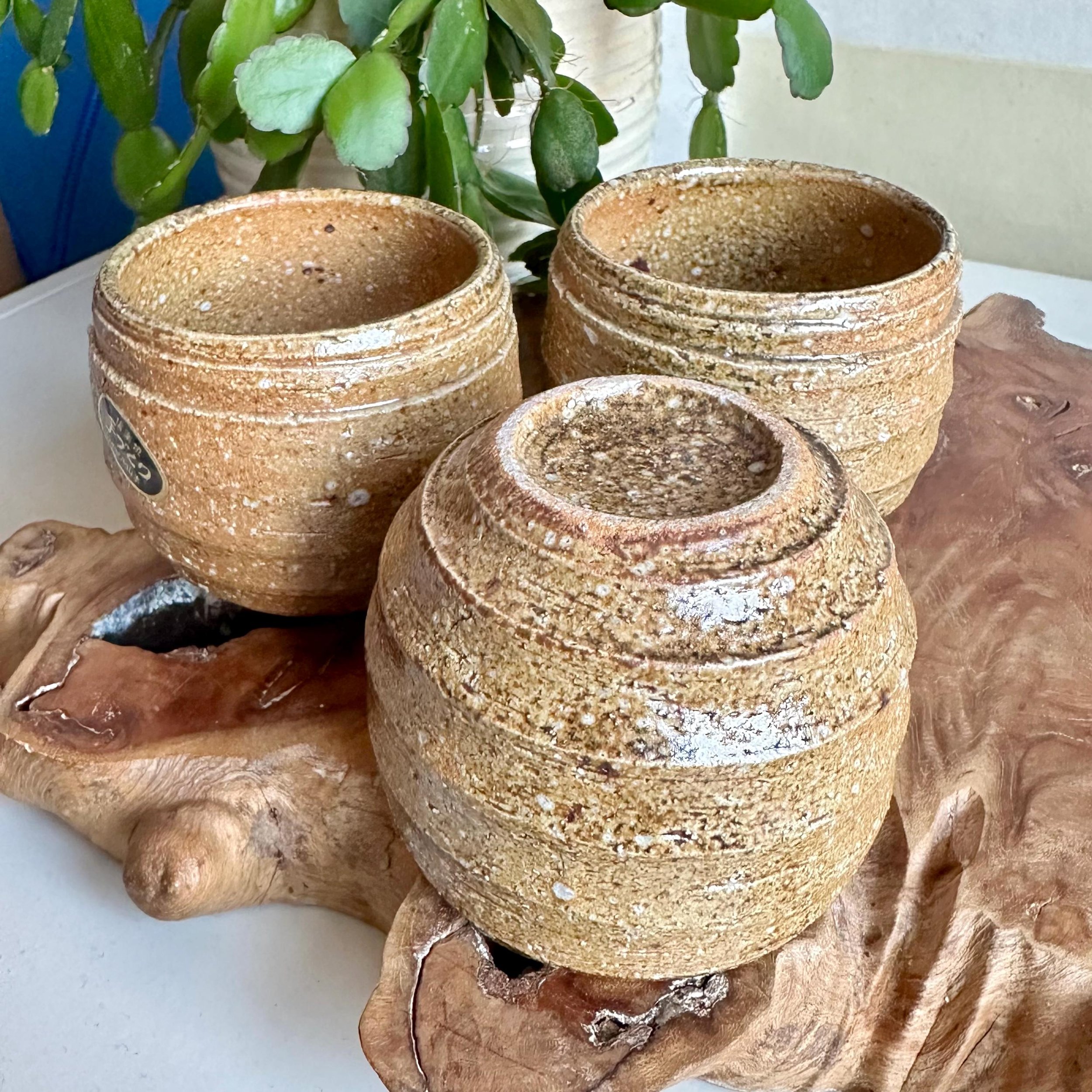 Three Shigaraki-yaki cups grouped on upside down, studio sticker visible on front cup