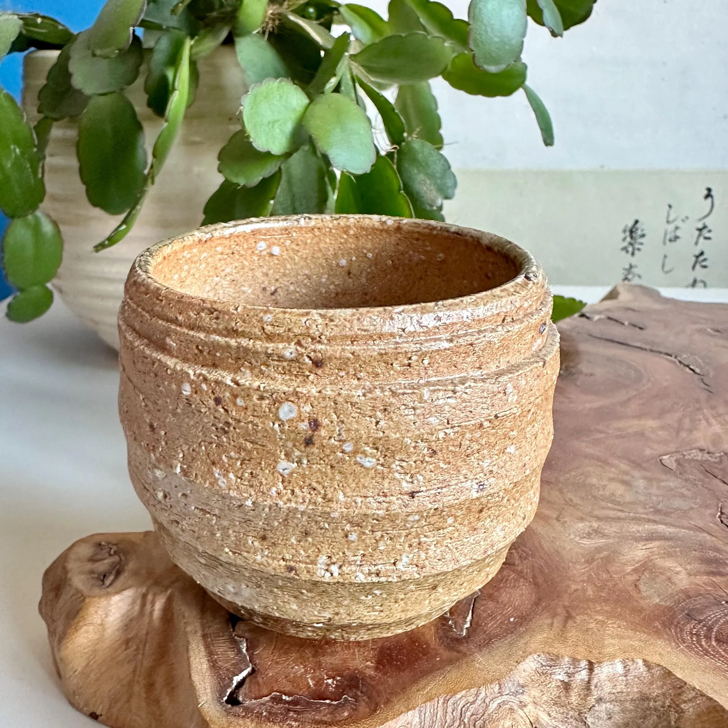 Single Shigaraki-yaki cup, close up of coarse exterior clay texture