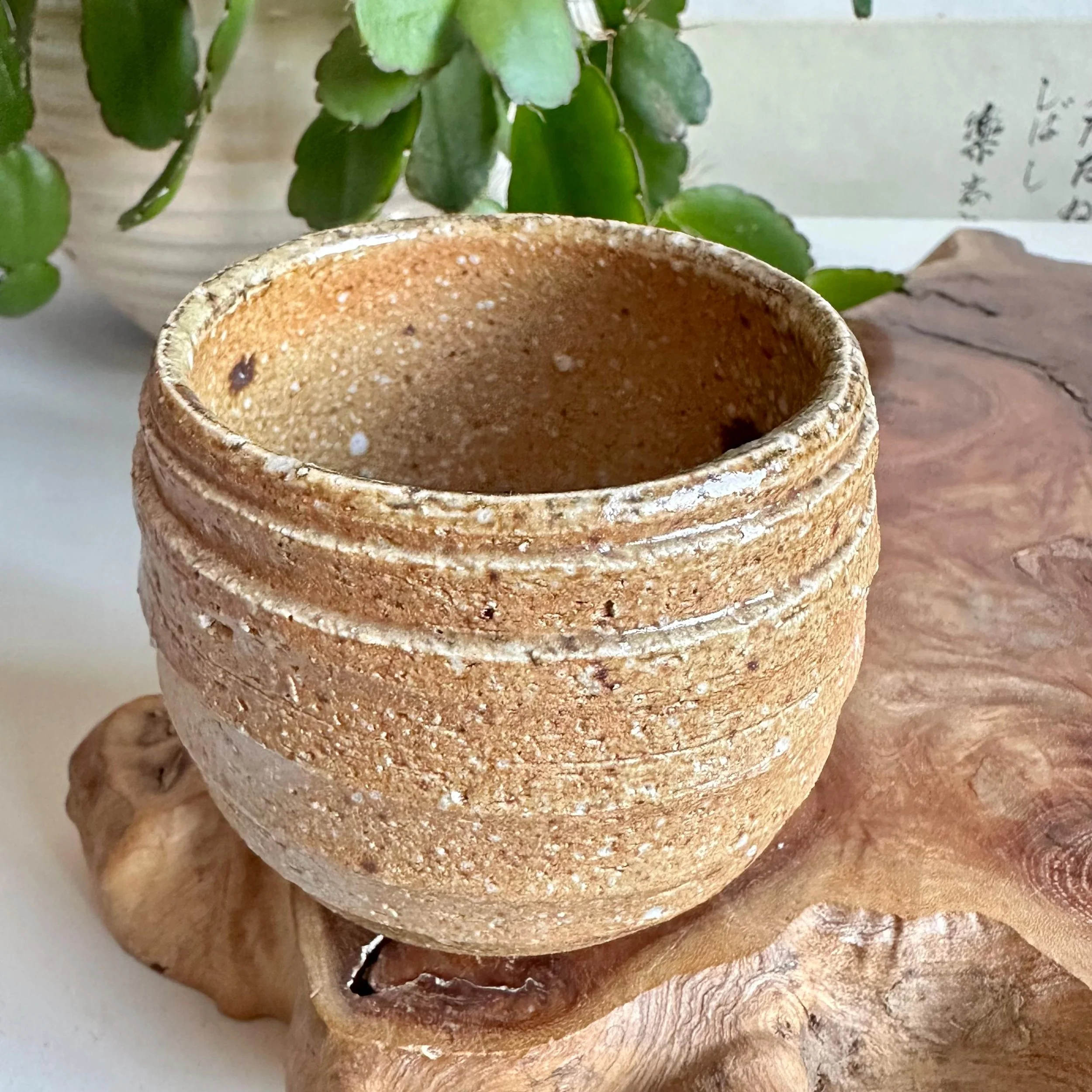 Single Shigaraki-yaki cup, interior view looking down into the bowl