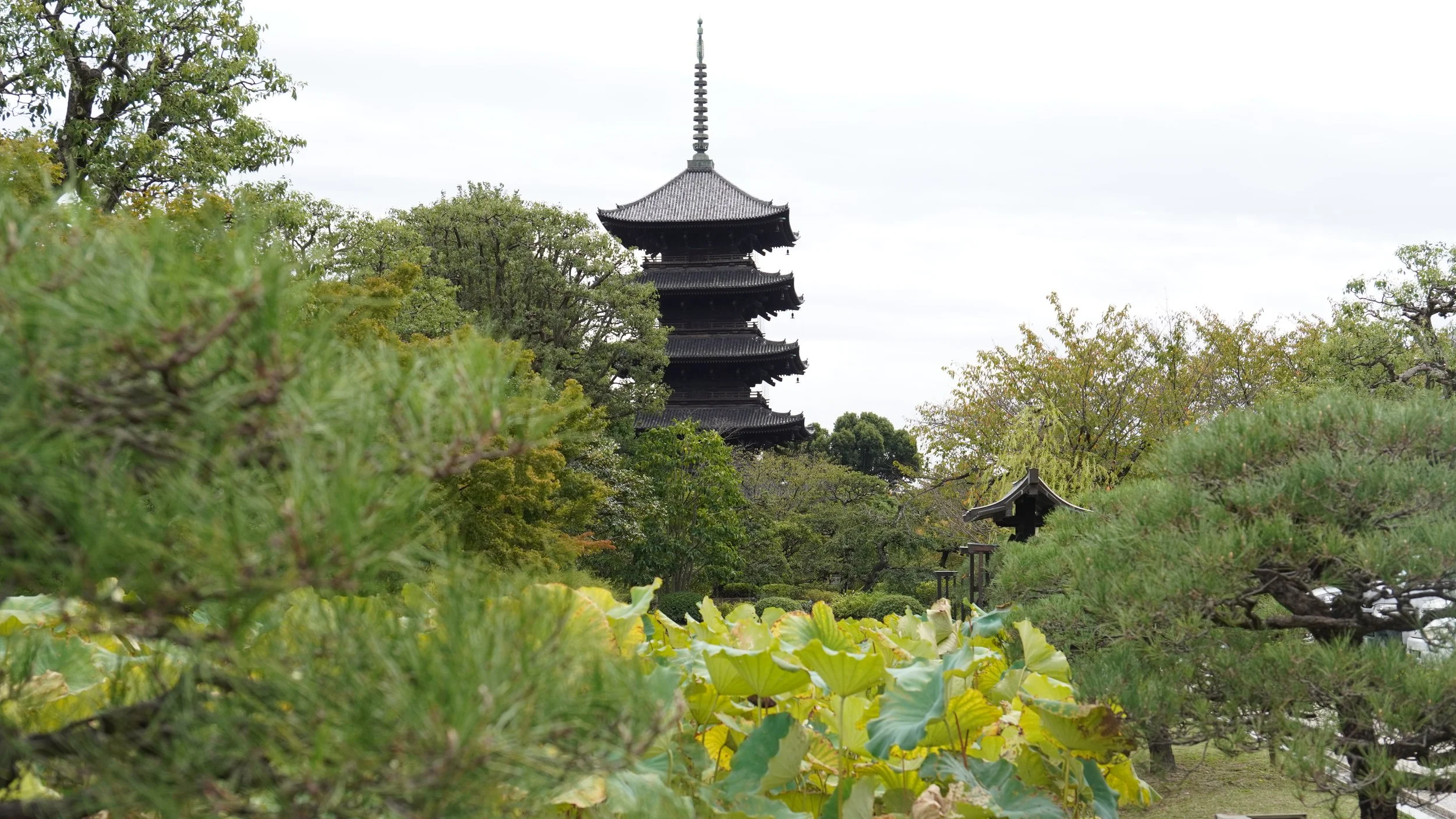 Toji temple pagoda five stories in kyoto