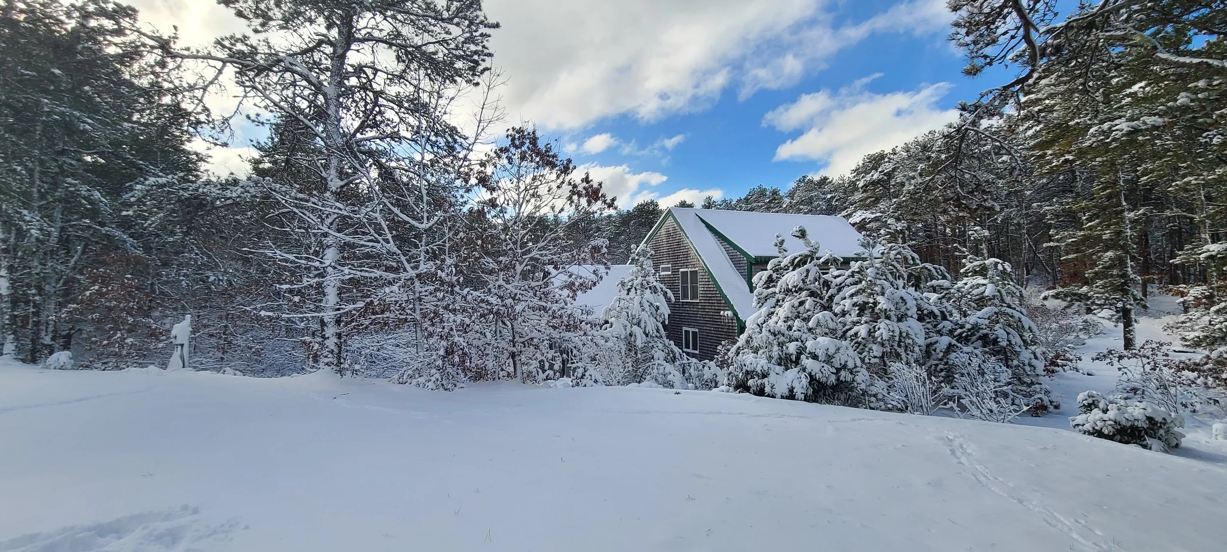Wellfleet Winter Wonderland