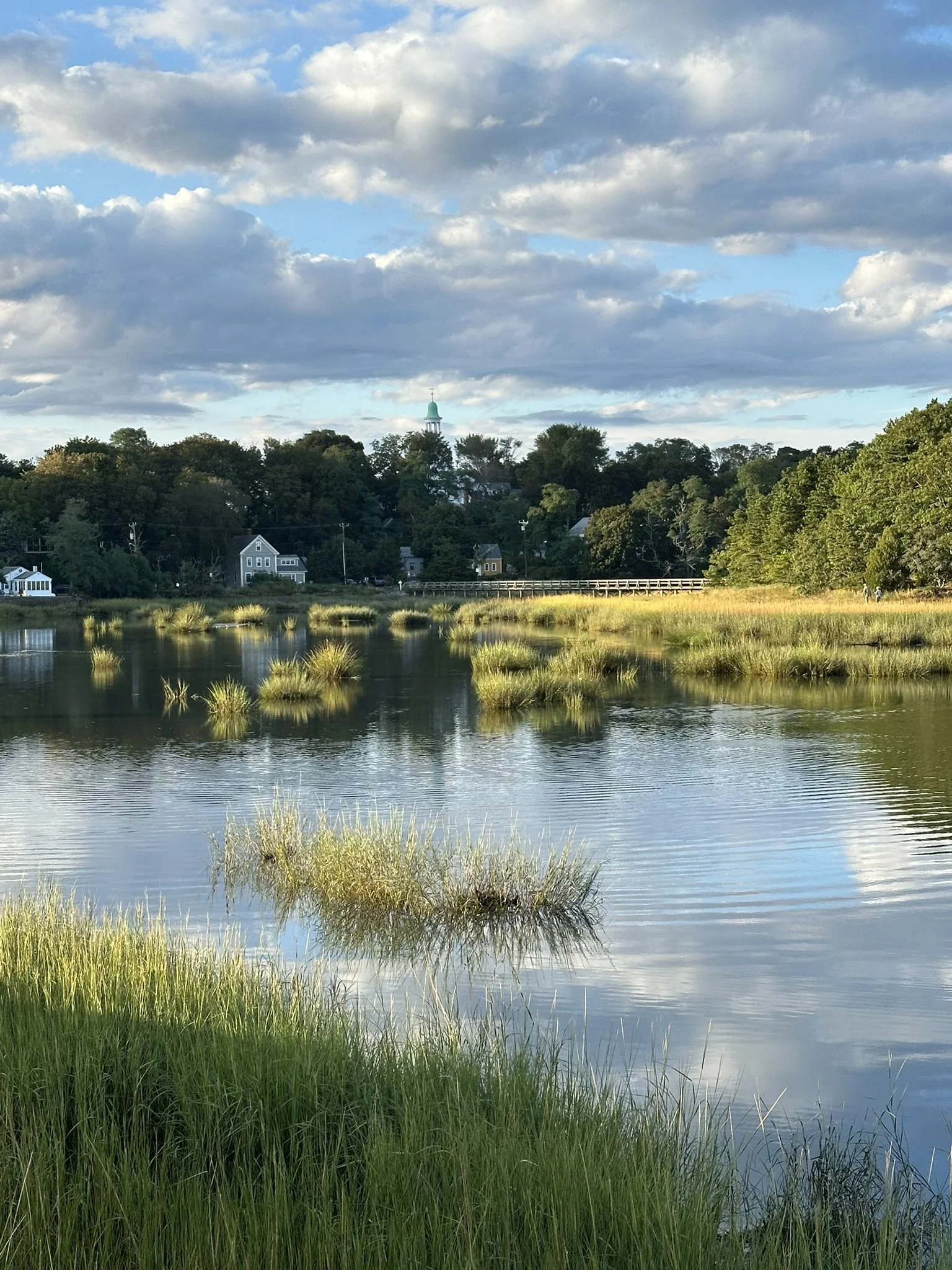 Meditation at Uncle Tim's Bridge