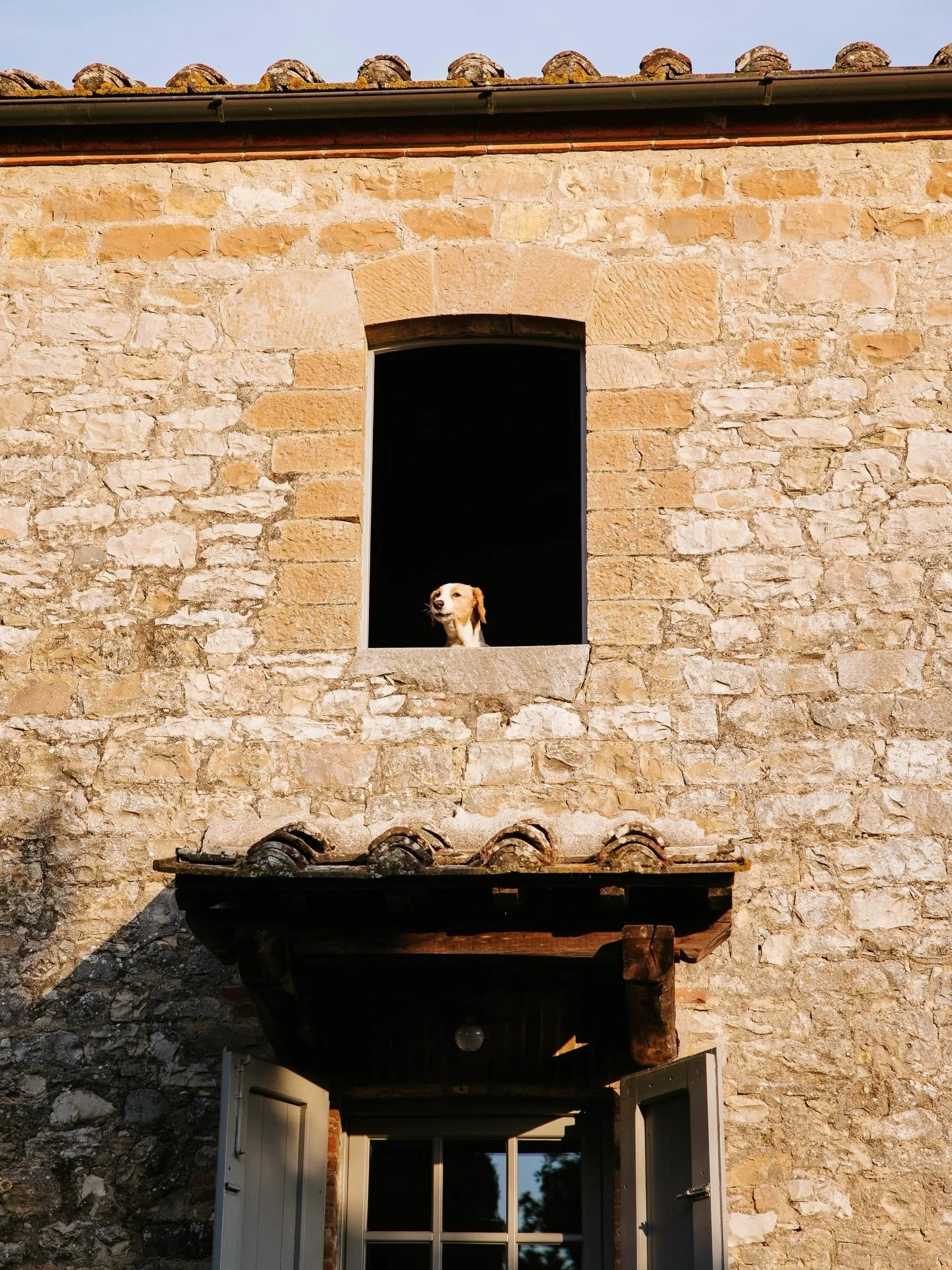Intimate welcome party in the Chianti countryside🤍

#tuscanyweddingphotographer #italianweddingphotographer #chianti #tuscanywedding #documentaryweddingphotographer