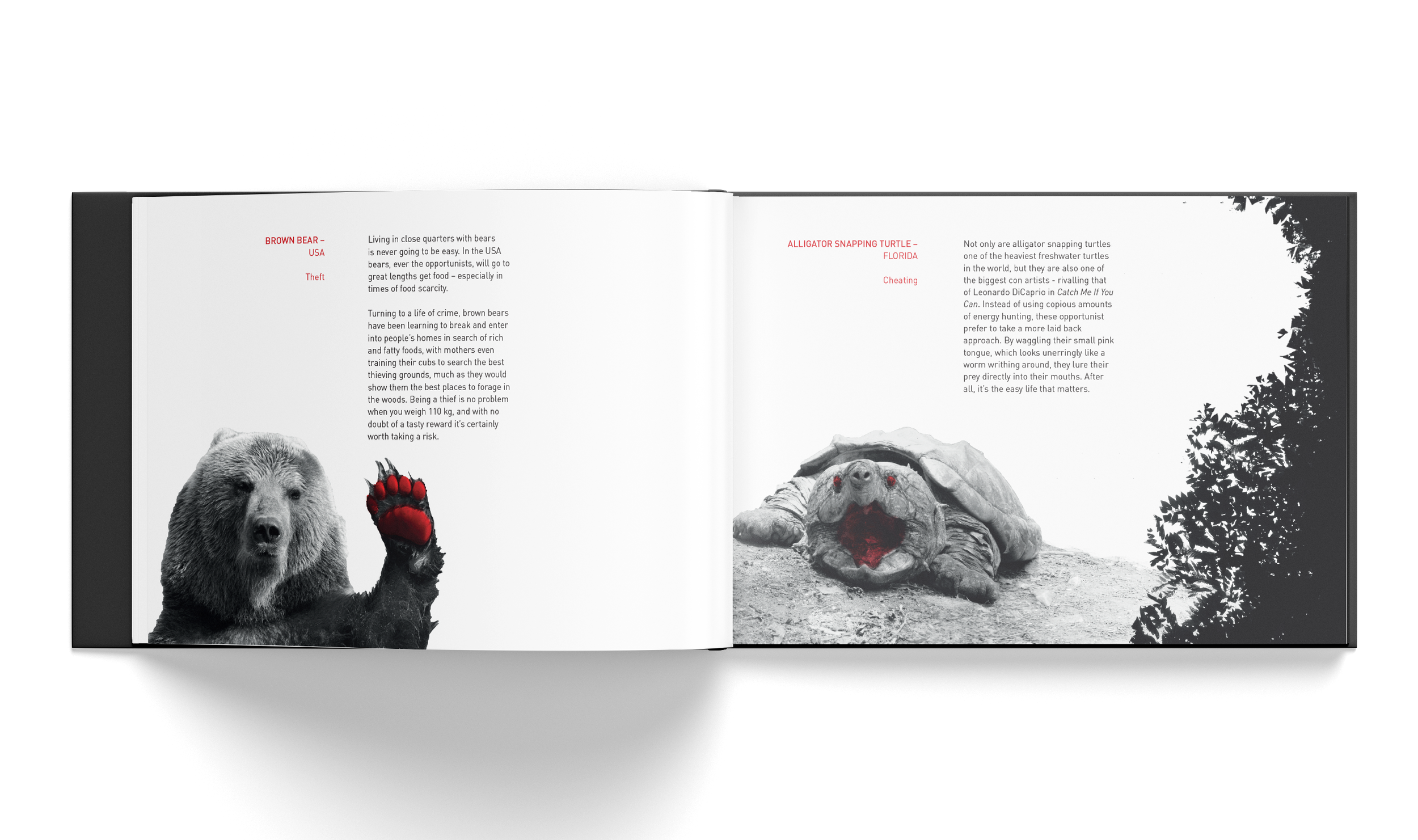 Natures Scoundrels Spread 4.png