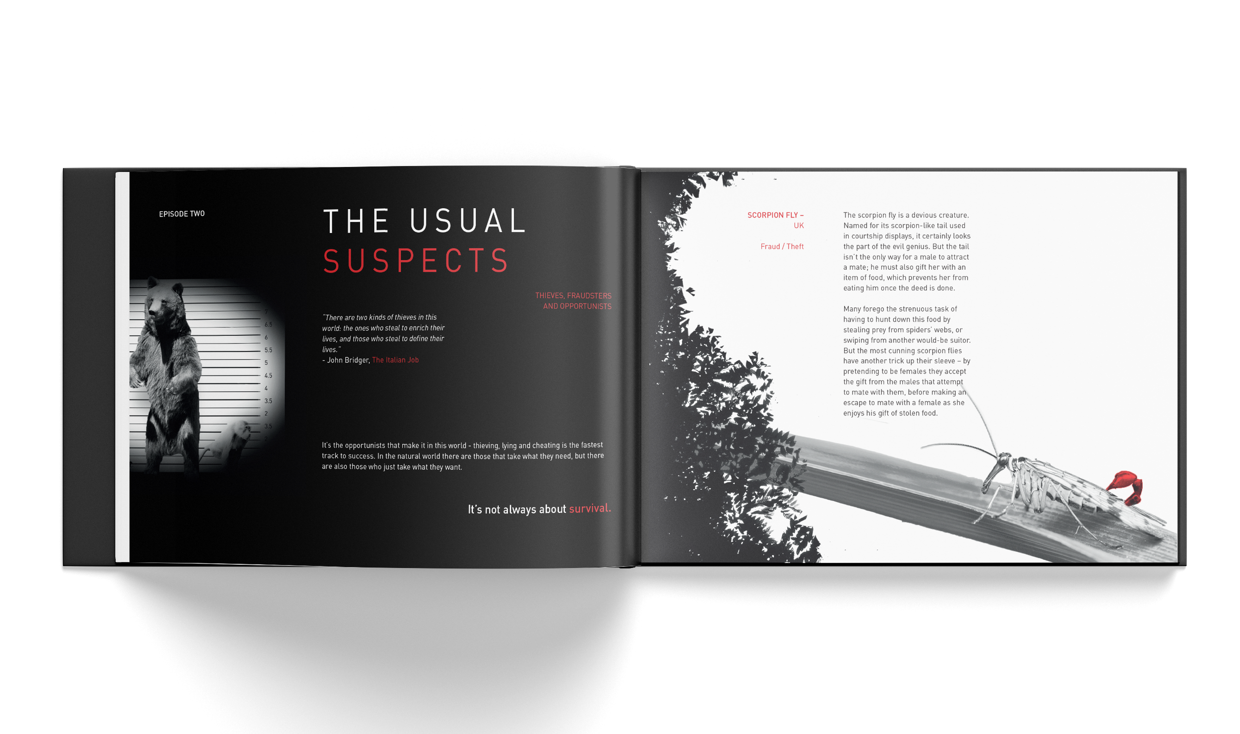 Natures Scoundrels Spread 3.png