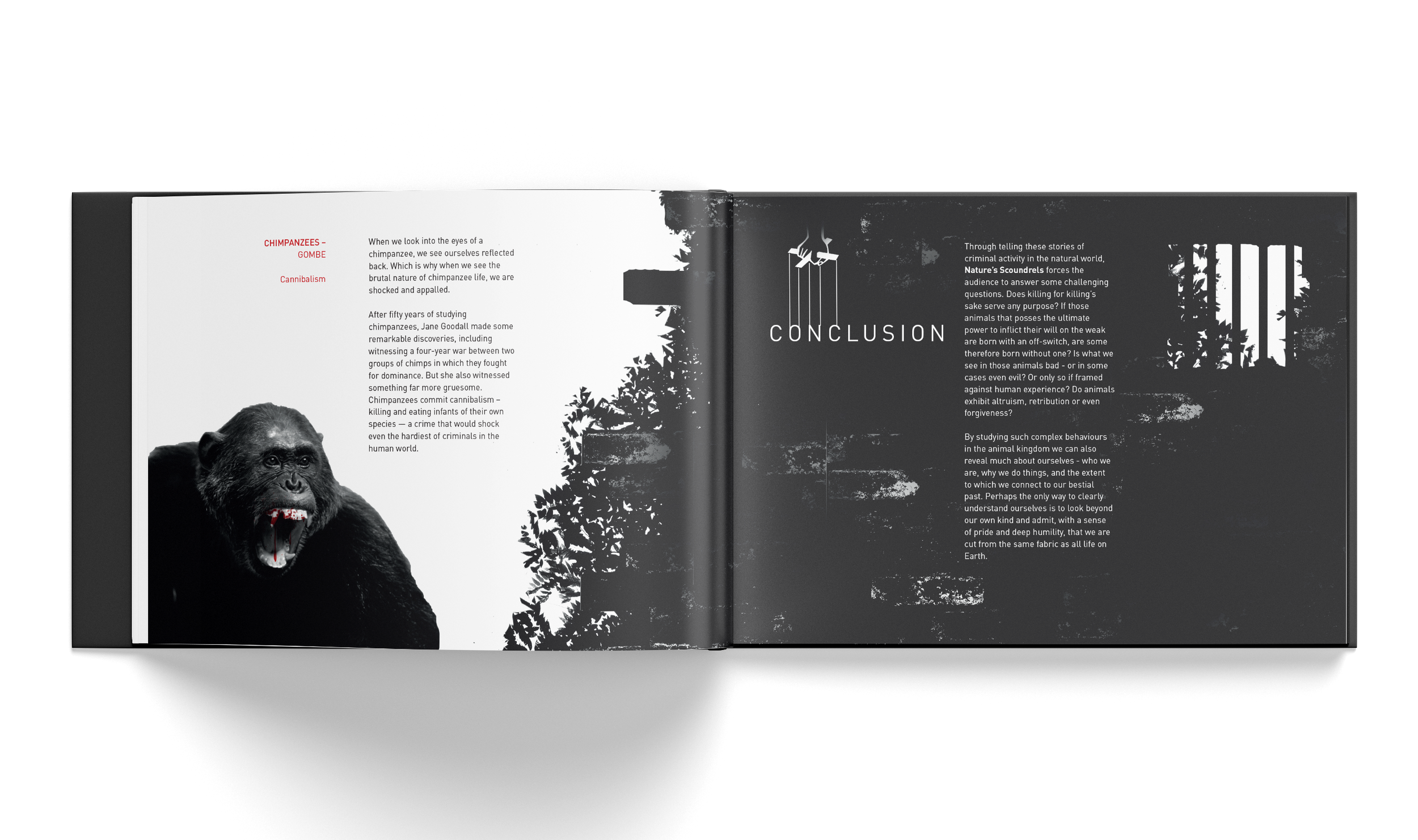 Natures Scoundrels Spread 6.png