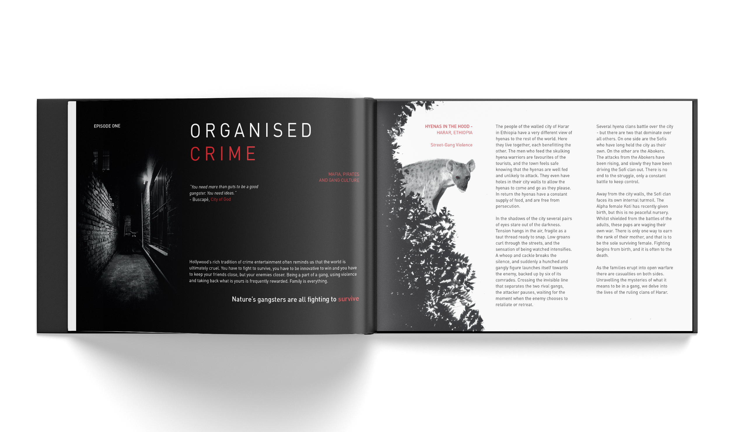 Natures Scoundrels Spread 1.png