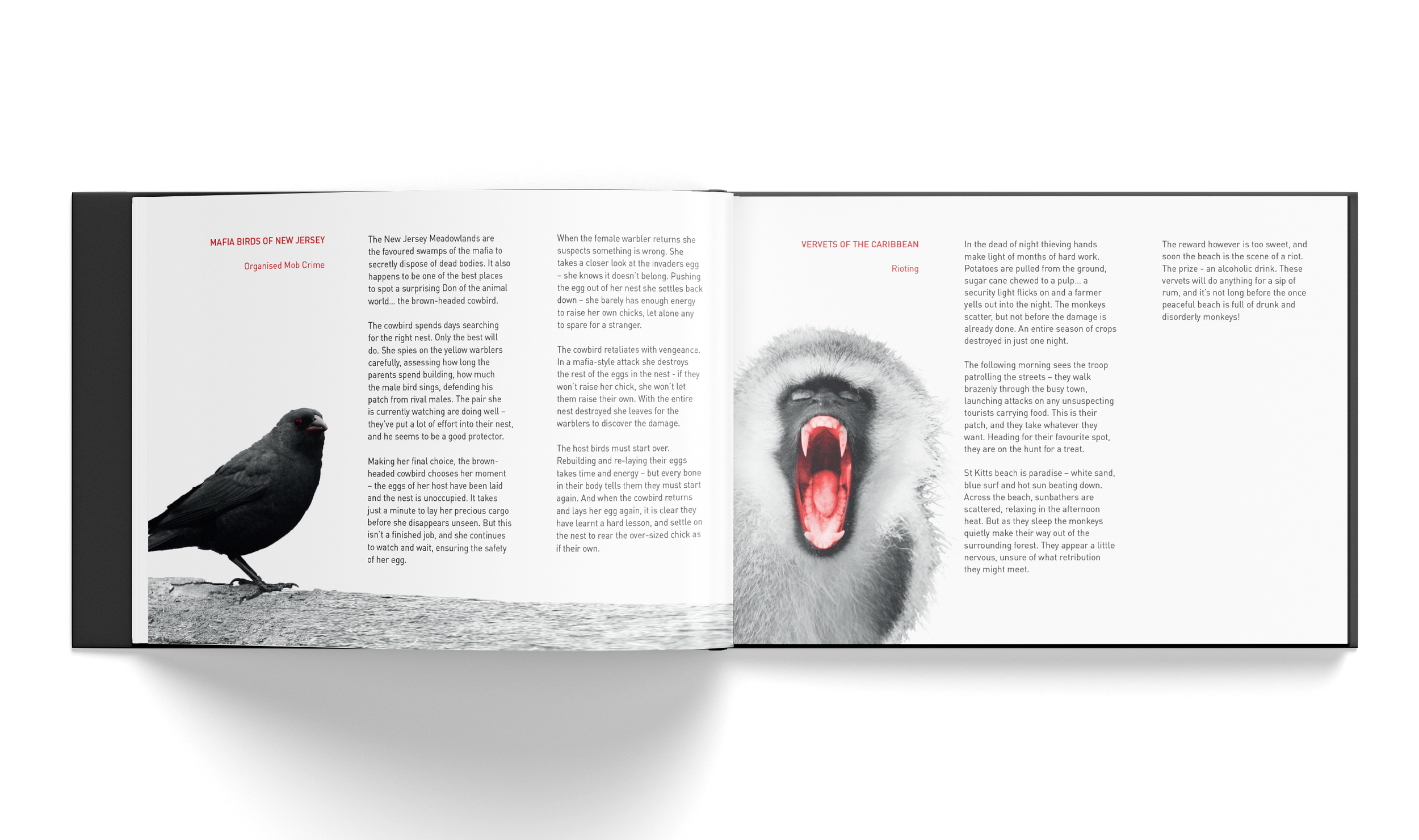 Natures Scoundrels Spread 2.png