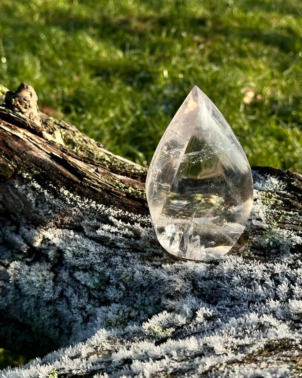 WhatsApp Image 2026-02-13 at 17.33.39.jpeg