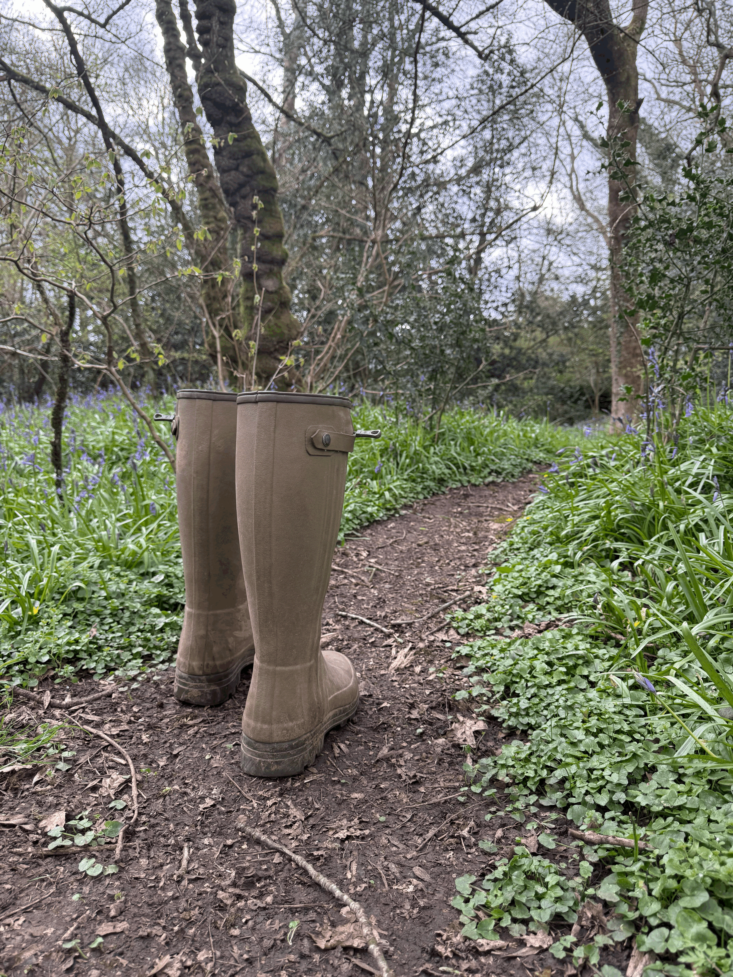 Outdoor Counselling (50 minute session)