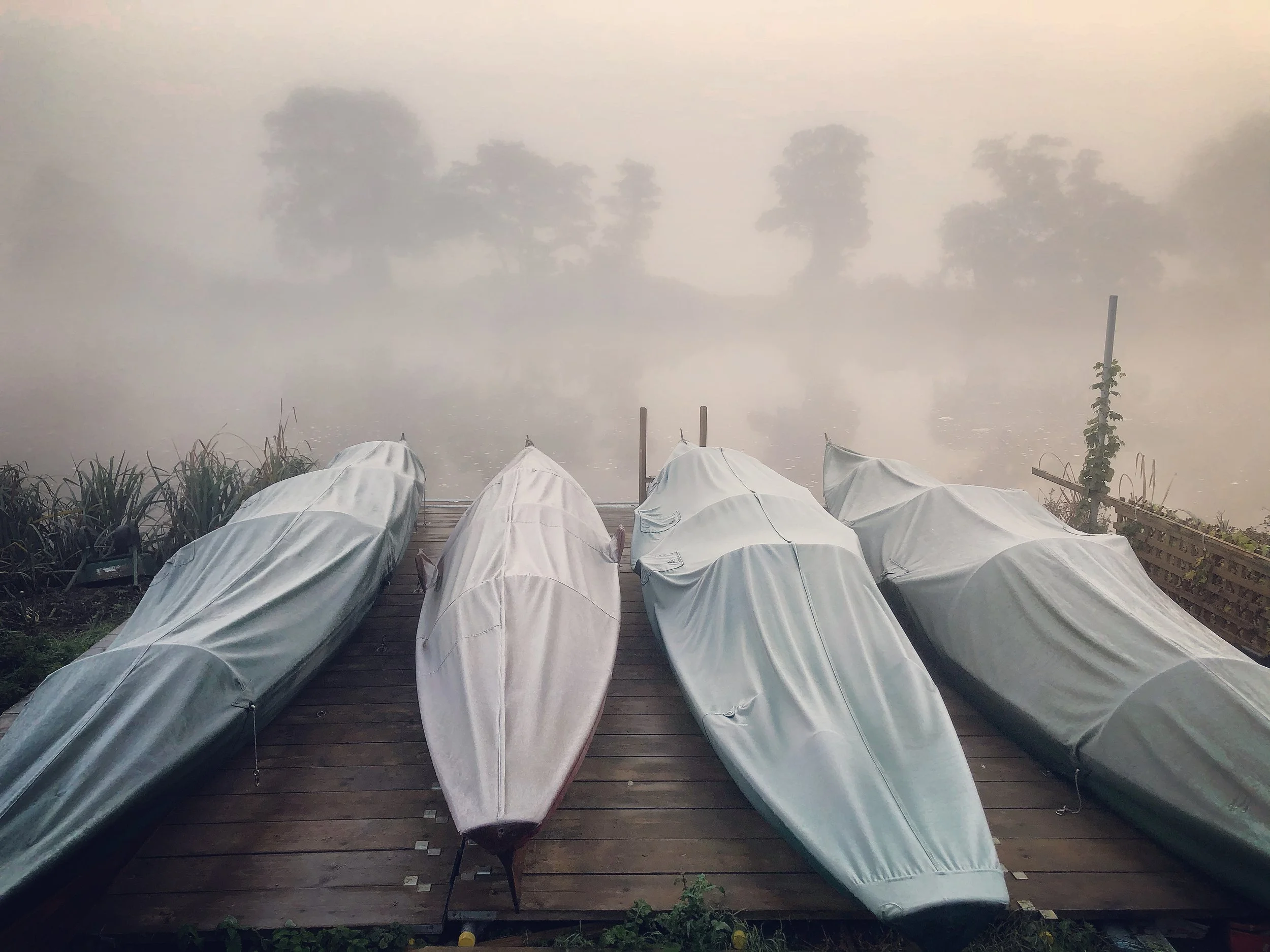 Five boats covered with protective covers on a wooden dock, surrounded by foggy weather, with trees visible in the background.