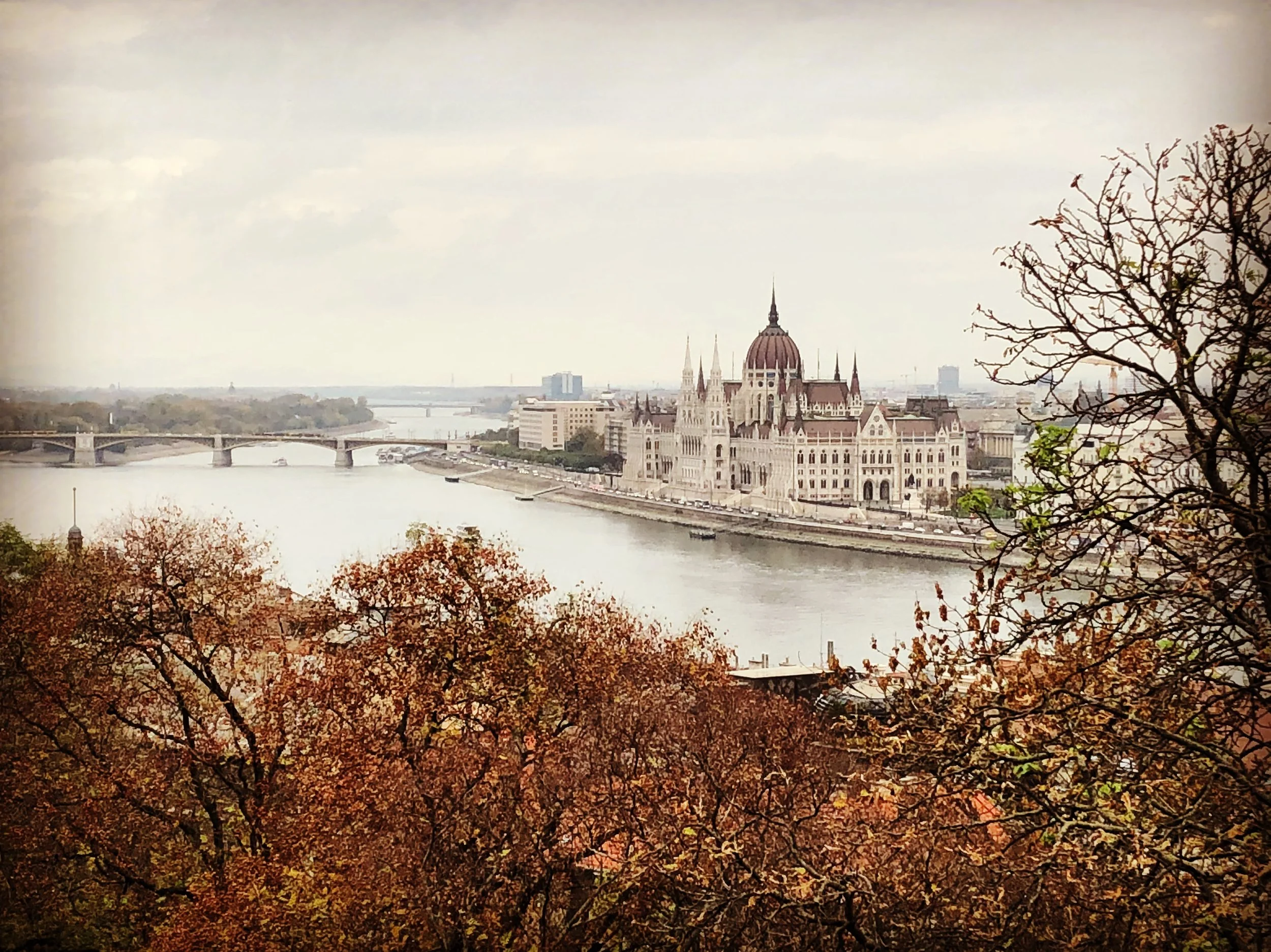 A scenic view of the Hungarian Parliament Building along the Danube River in Budapest, framed by autumn trees with orange and green leaves.