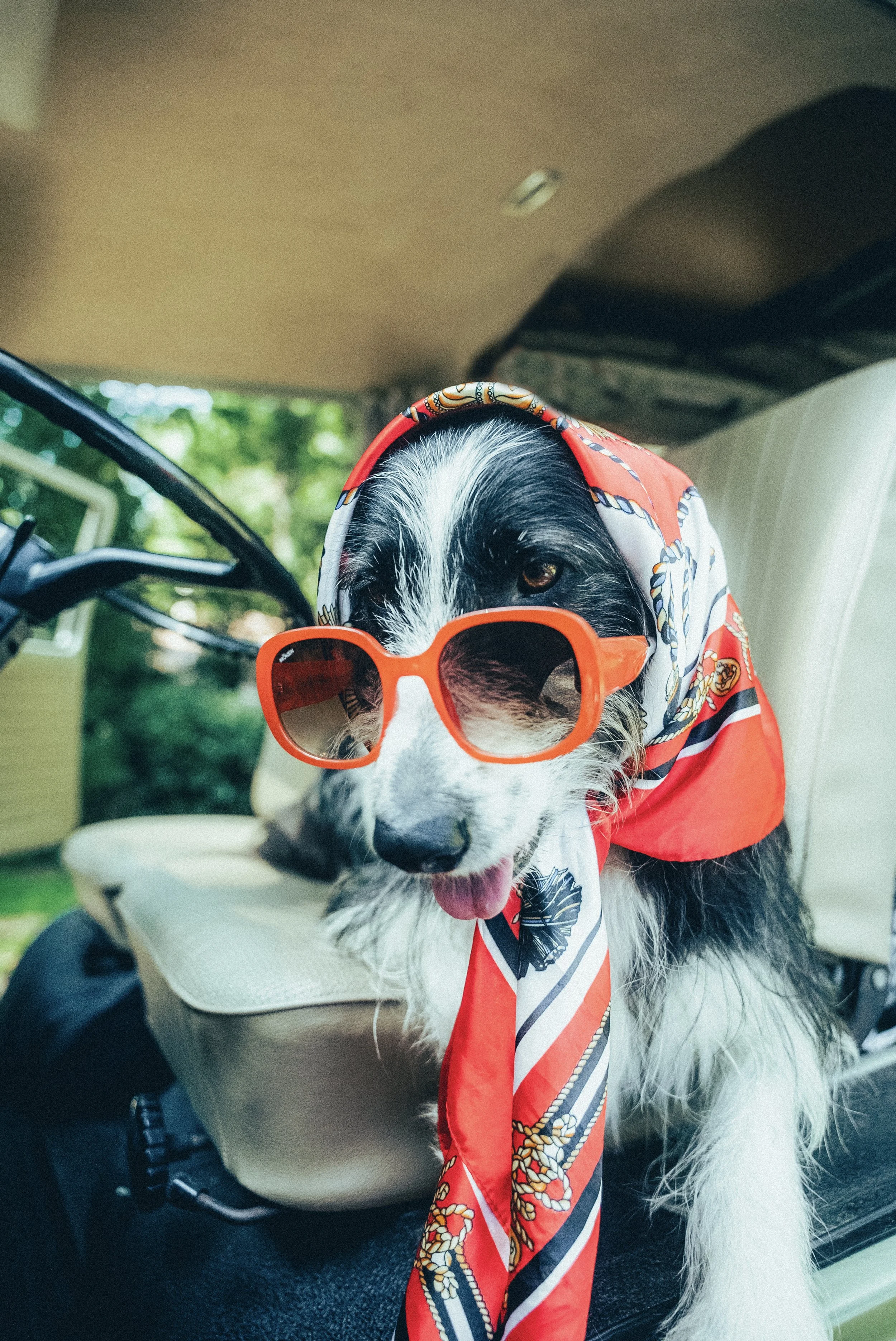 Hasta La Vista - Summer 2025