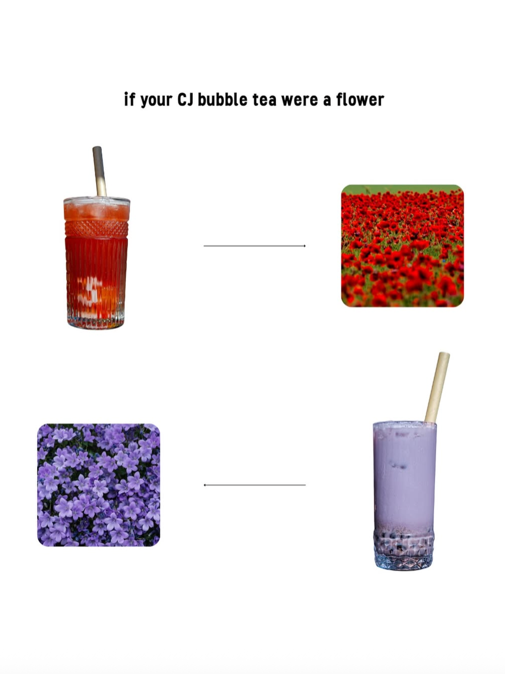 Un verre de thé à bulles de couleur rouge à gauche, une image de champs de coquelicots rouges à droite, un bouquet de fleurs violettes en bas à gauche, et un verre de thé à bulles violet en bas à droite, avec du texte : « si votre thé à bulles CJ était une fleur ».