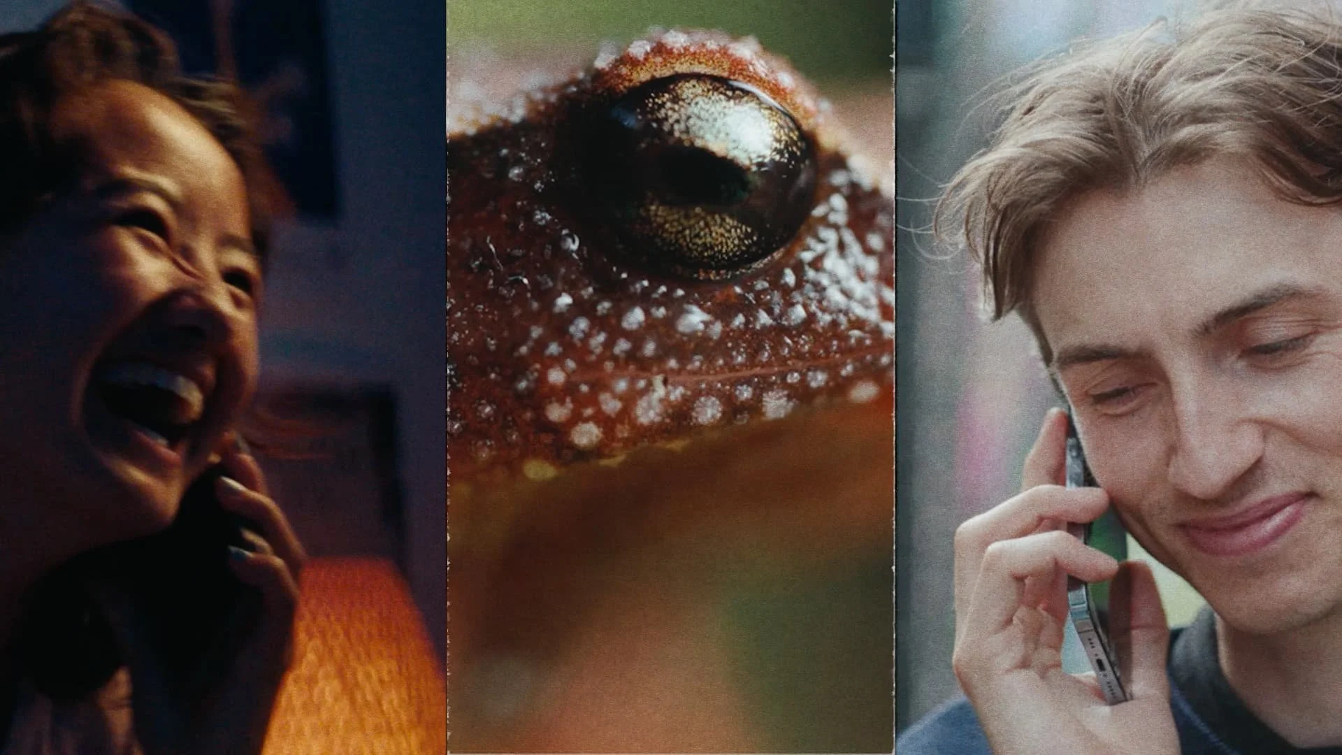 Three-part collage using stills from the short film 'Would You Still Love Me If I Was A Sticky Frog?': a person smiling and talking on a mobile phone, a close-up of a frog's eye and textured skin, a young man smiling and talking on a mobile phone.