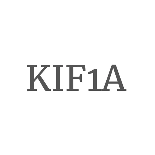 A symmetrical black and white logo with the letters 'KIF' and the number '1A' arranged in a mirrored fashion.
