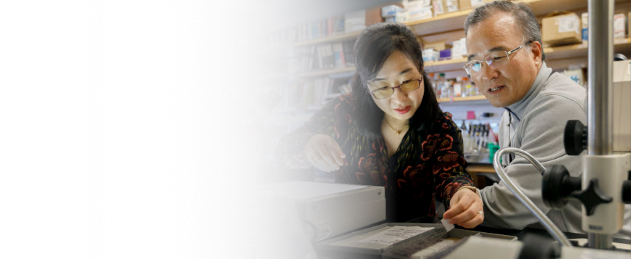 Two researchers working together with scientific equipment and laboratory shelves in the background.