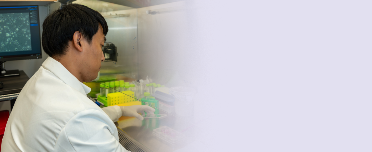 A scientist working in a laboratory with test tubes and lab equipment on a workbench, wearing a white lab coat and gloves.