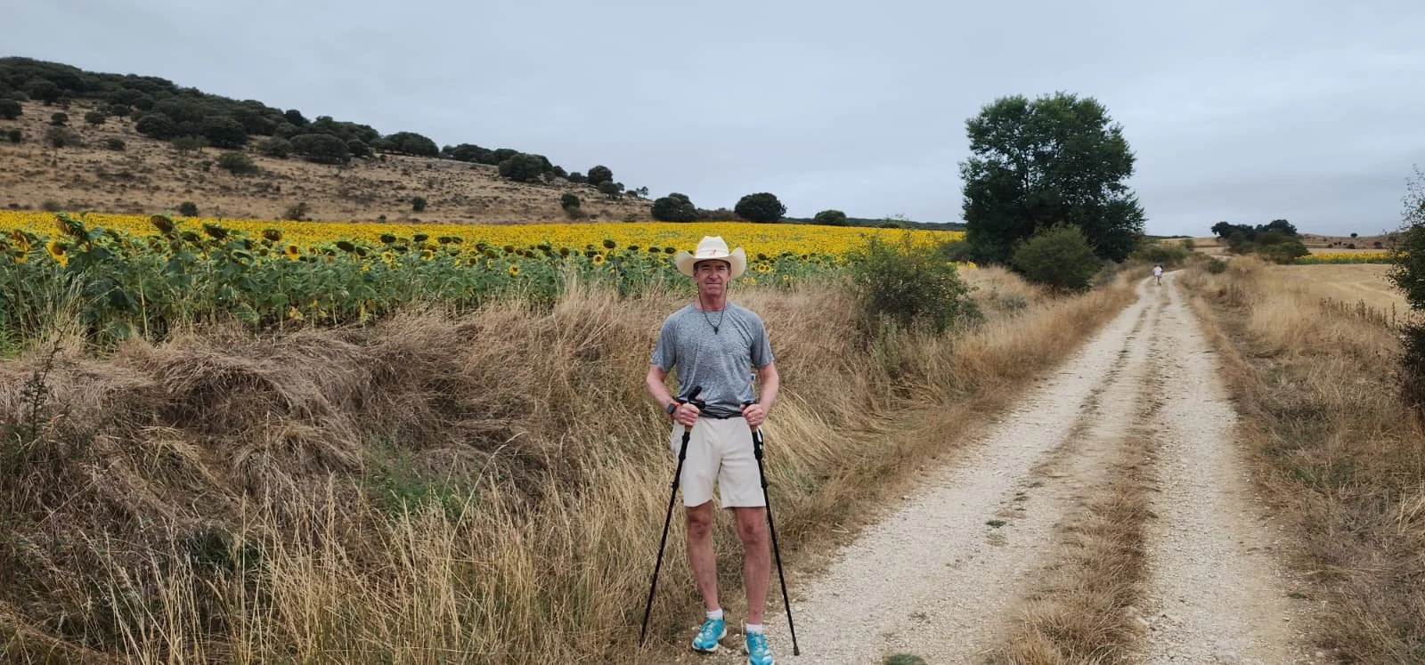 A man holding hiking poles standing on a gravel dirt path in rural landscape with sunflower field on one side, trees and a hill in the background, under a gray cloudy sky.