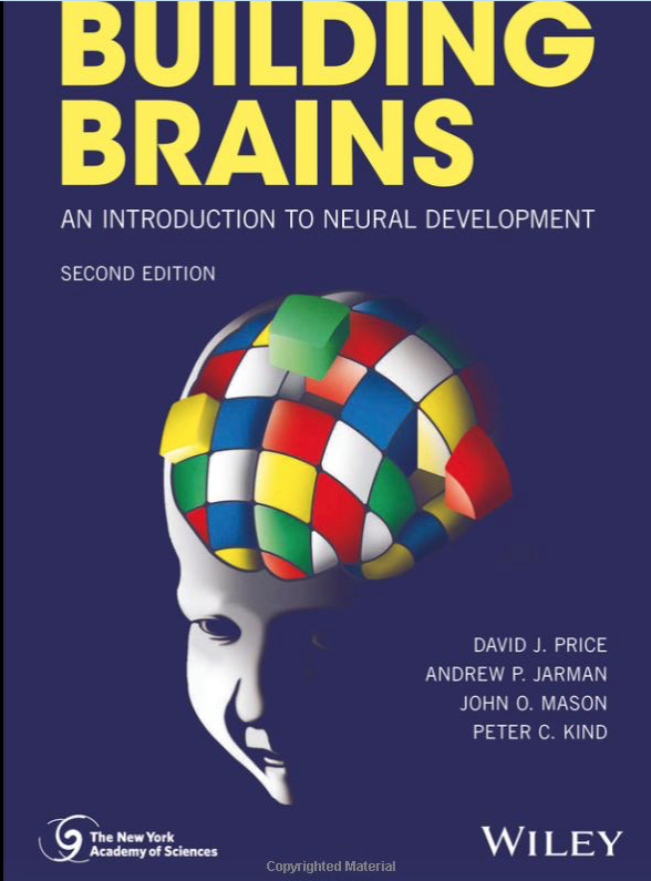 Screen Shot 2018-11-14 at 11.34.10 AM.png