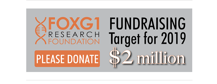www.foxg1research.org/donate