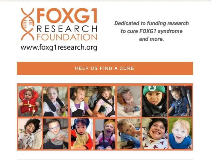 January Newsletter: Big Things in 2019 