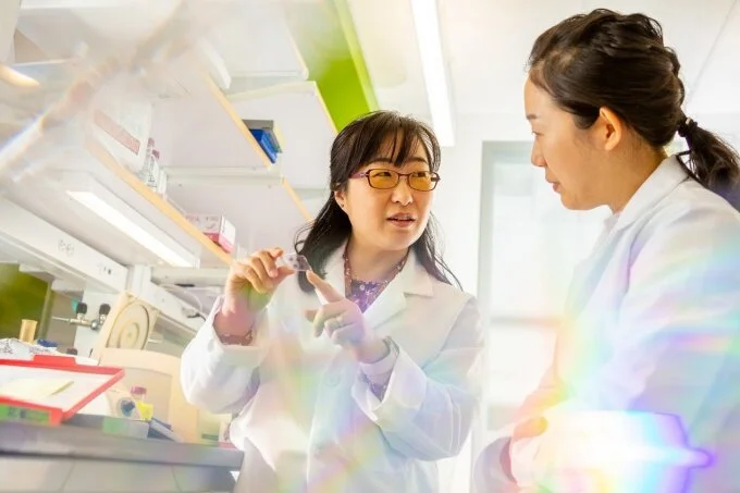 UB biological sciences faculty member Soo-Kyung Lee, left, and UB biological sciences researcher Younjung Park work in the lab. Photo: Douglas Levere