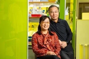 UB biologists Soo-Kyung Lee (left) and Jae Lee are researching the FOXG1 gene. Their daughter, Yuna, has a mutation in the gene, which has severely impacted her development. Photo: Douglas Levere / University at Buffalo.
