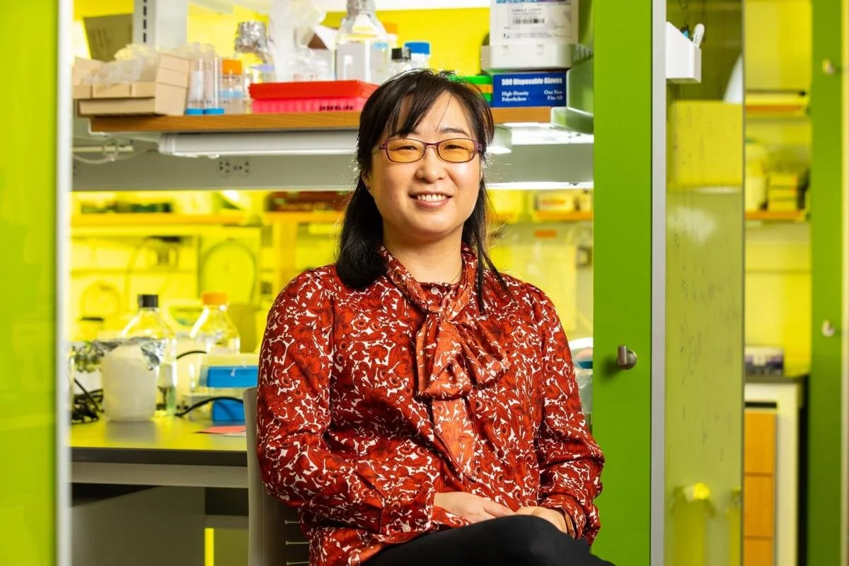 FOXG1 research could have implications for several neurological diseases, said Soo-Kyung Lee, including&nbsp;autism, Alzheimer’s, epilepsy, and schizophrenia.Douglas Levere/University at Buffalo