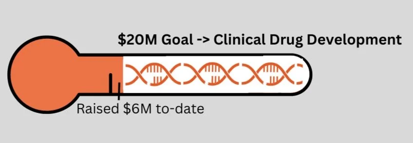 Donate to cure foxg1 syndrome